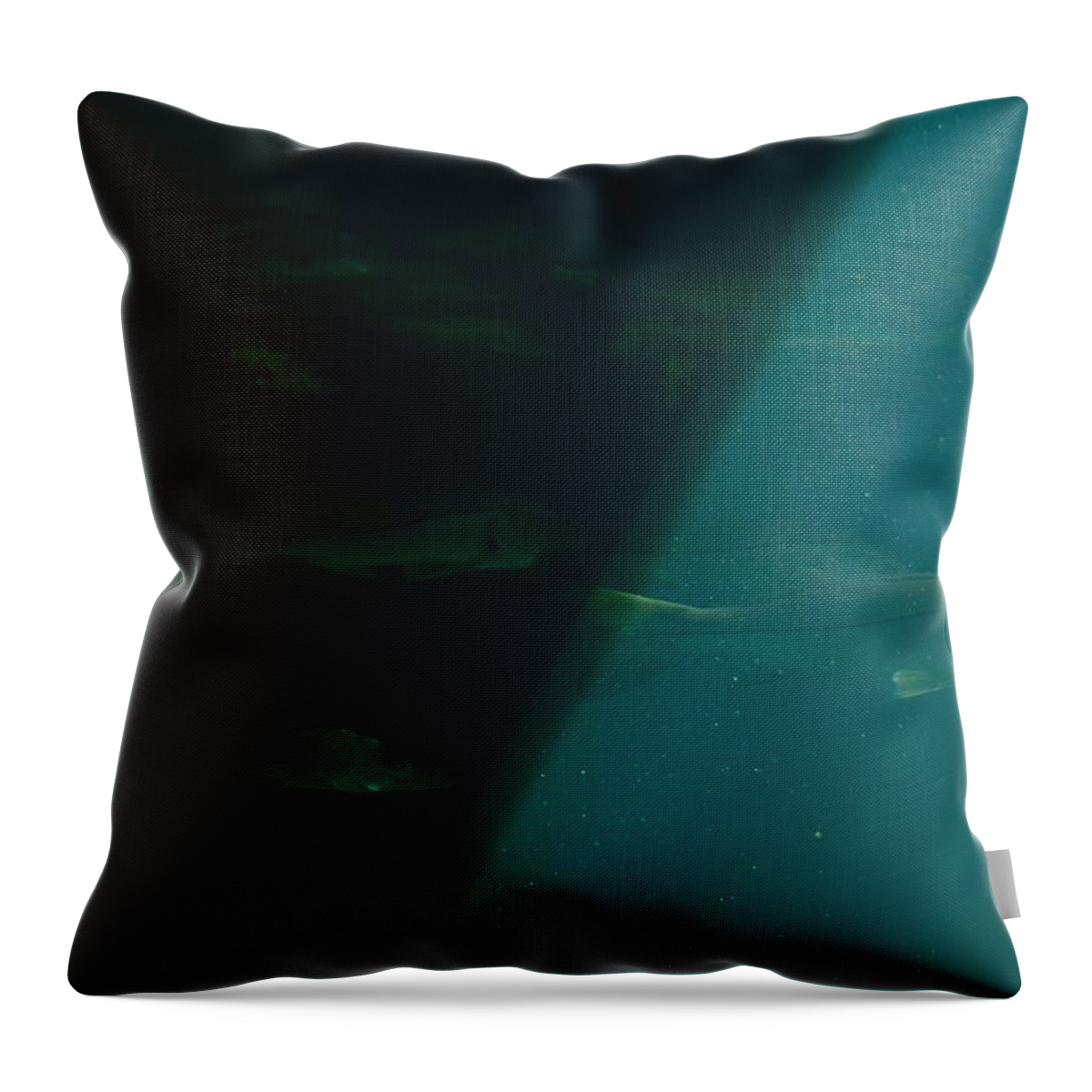 Fish Throw Pillow featuring the photograph School of Fish by Richard Zentner