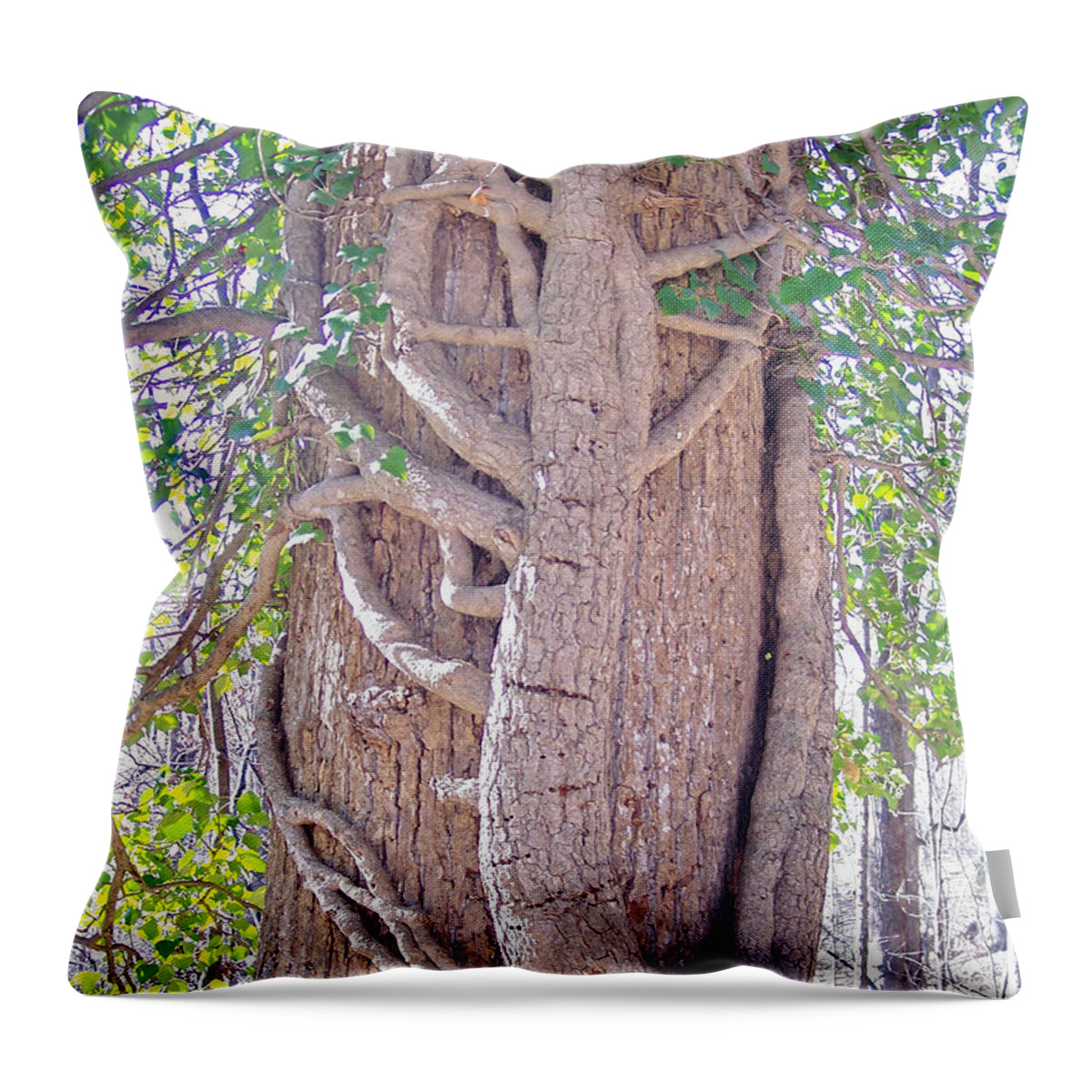 Tree Throw Pillow featuring the photograph Scorpion Tree by Richard Bryce and Family