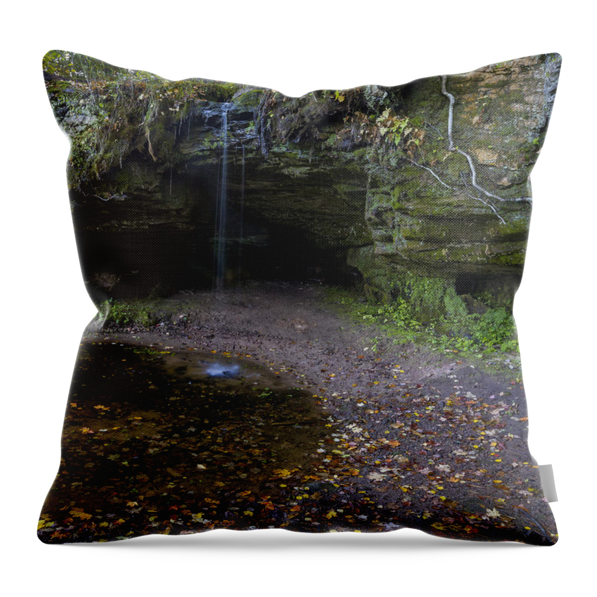 Autumn Throw Pillow featuring the photograph Scott Falls by Jack R Perry
