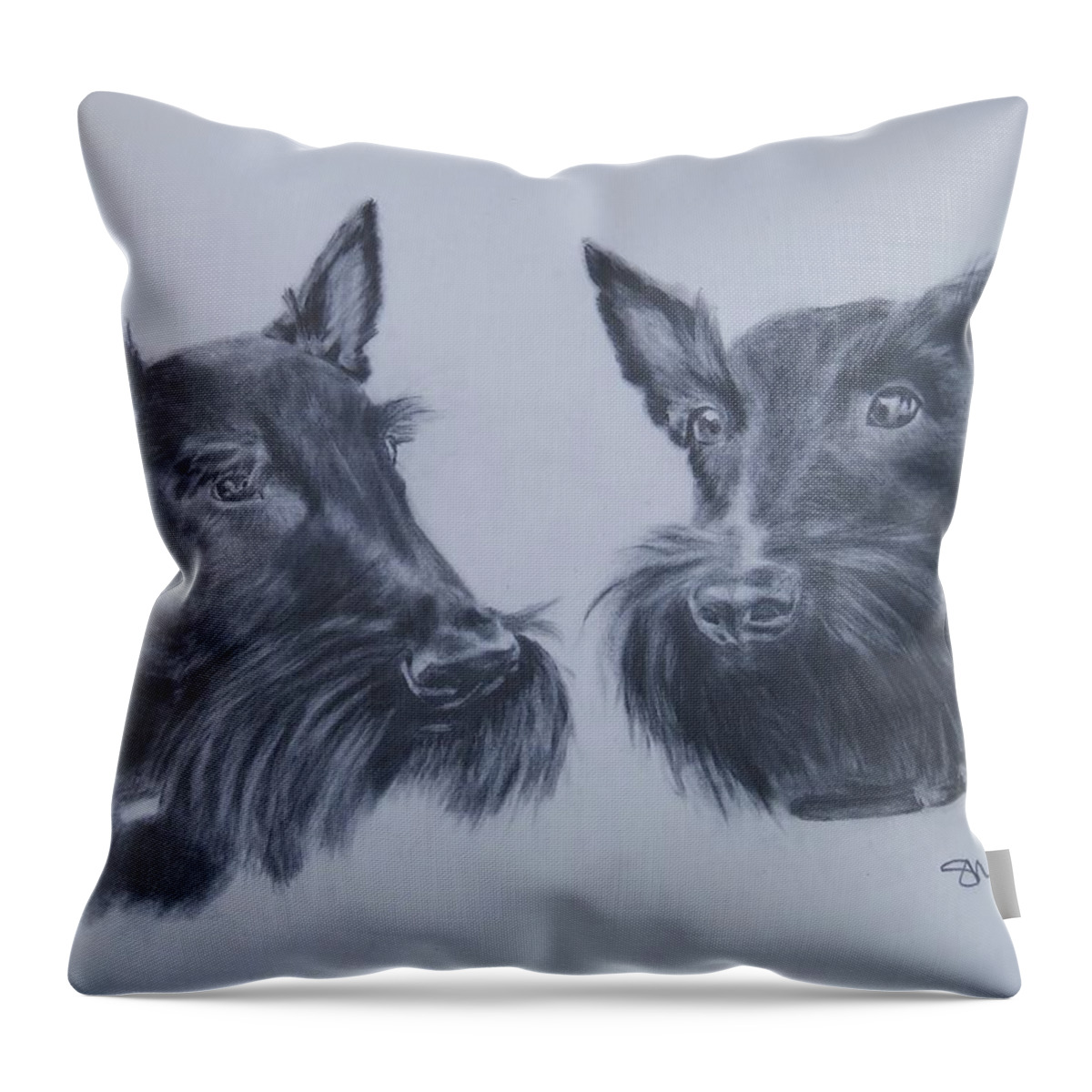 Scottie Dogs Pencil Drawing Animal Portraits People Portraits Commissions Throw Pillow featuring the drawing Scotties by Sandra Muirhead