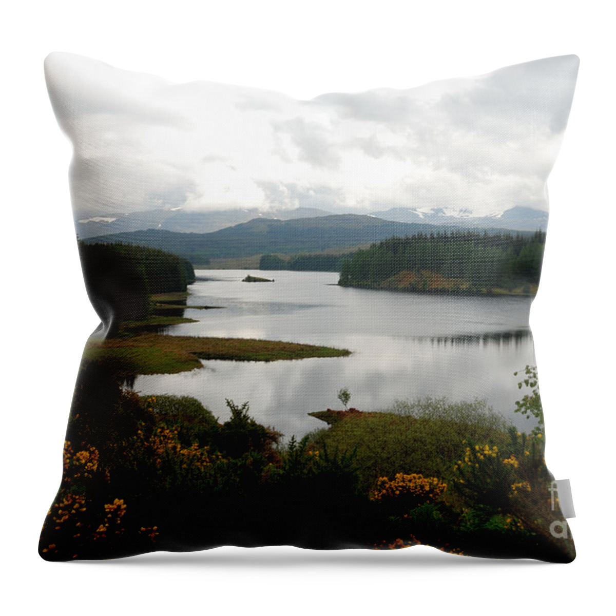 Loch Scotland Scottish Wild Heather Landscape Throw Pillow featuring the photograph Scottish Loch by Richard Gibb