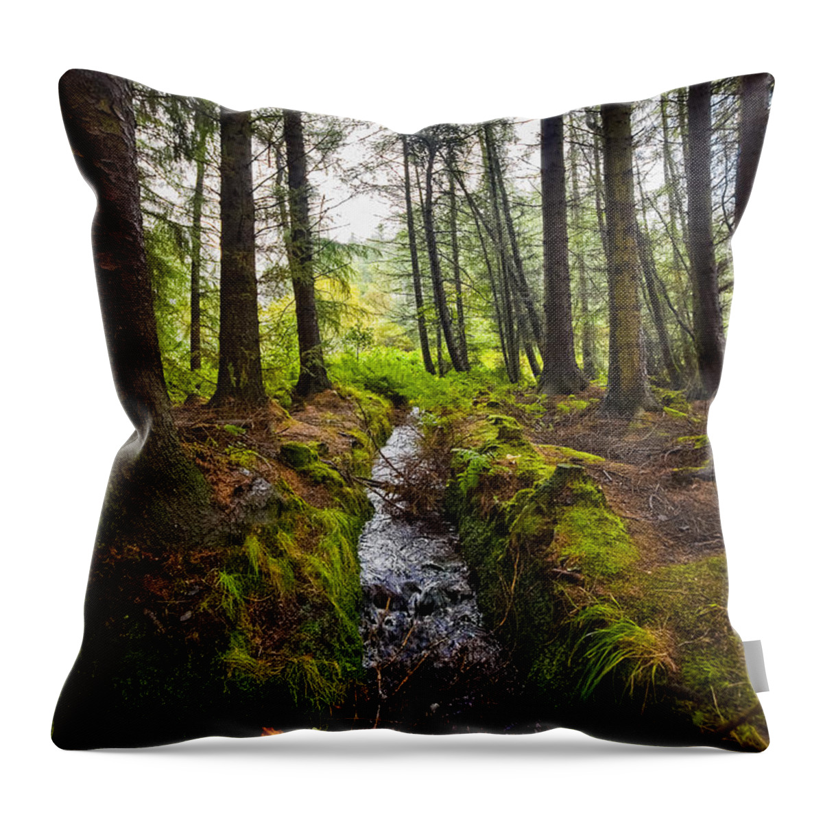 Babble Throw Pillow featuring the photograph Scottish Woodland Stream by Mark Llewellyn
