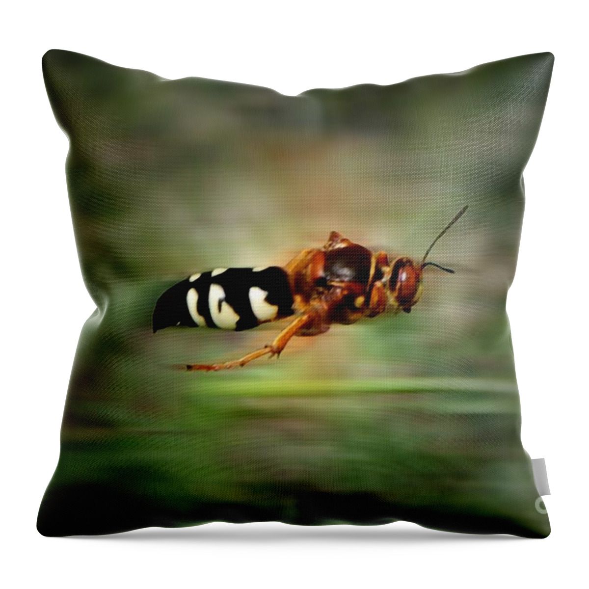 Cicada Throw Pillow featuring the photograph Scouting Mission by Thomas Woolworth