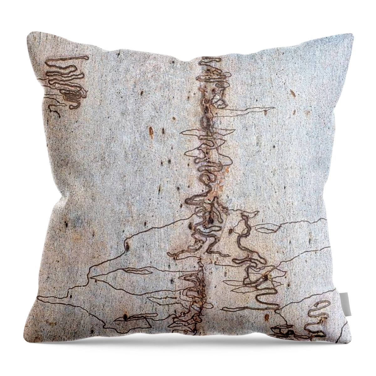 Trees Throw Pillow featuring the photograph Scribbly Gum Art Portrait A by Peter Kneen