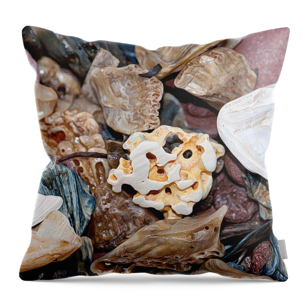 Shells Throw Pillow featuring the photograph Sea Debris 4 by WB Johnston