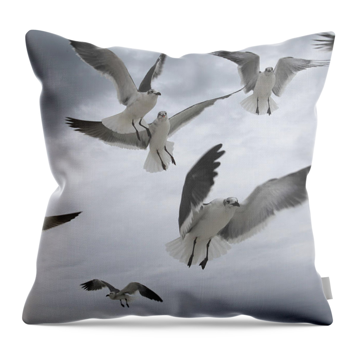 Seagull Throw Pillow featuring the photograph Sea Gull Aggression by Joseph G Holland