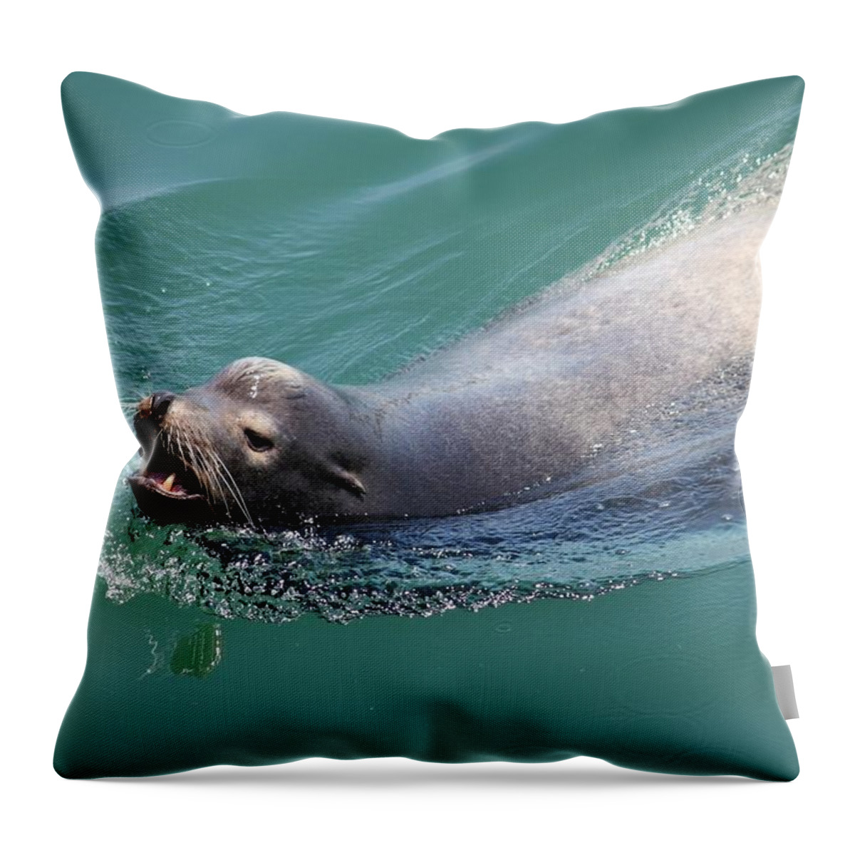 California Throw Pillow featuring the photograph Sea lion by Anthony Trillo