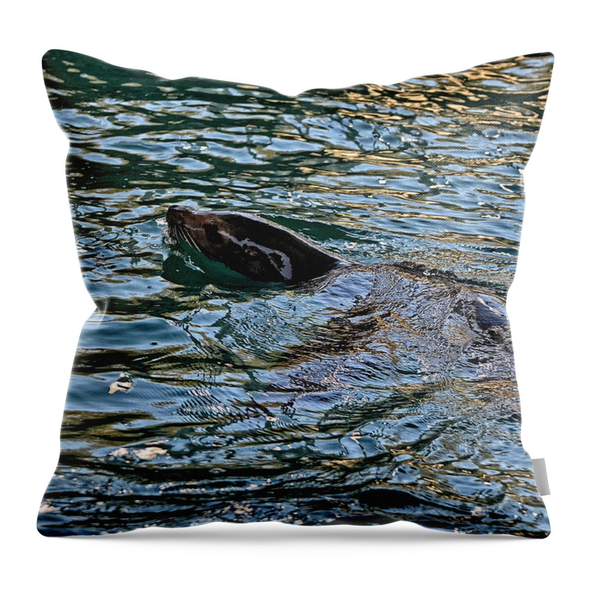 Sea Lion Throw Pillow featuring the photograph Sea Lion in Water by Maggy Marsh