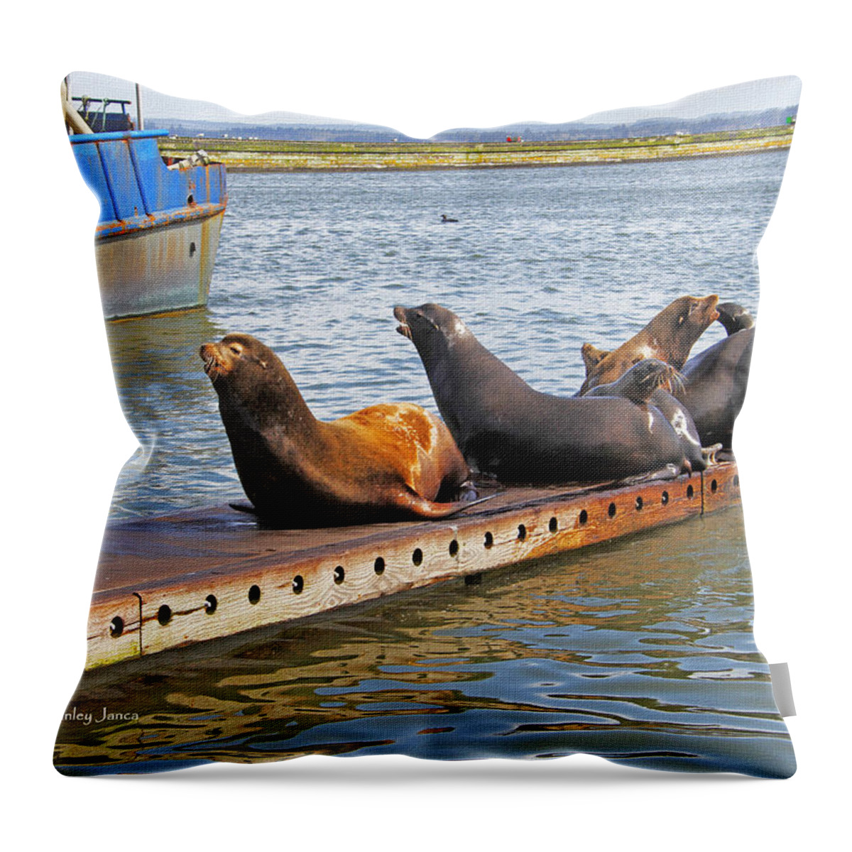 Sea Lions At West Port Washington Throw Pillow featuring the photograph Sea Lions At West Port Washington by Tom Janca