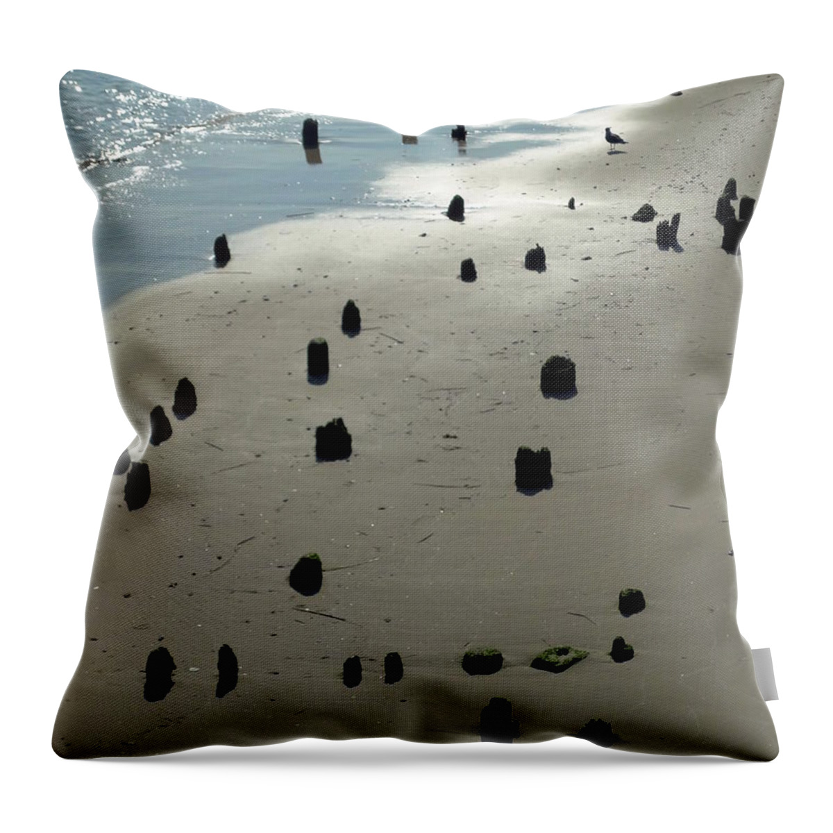 Sea Throw Pillow featuring the photograph Sea Piles by Deborah Crew-Johnson