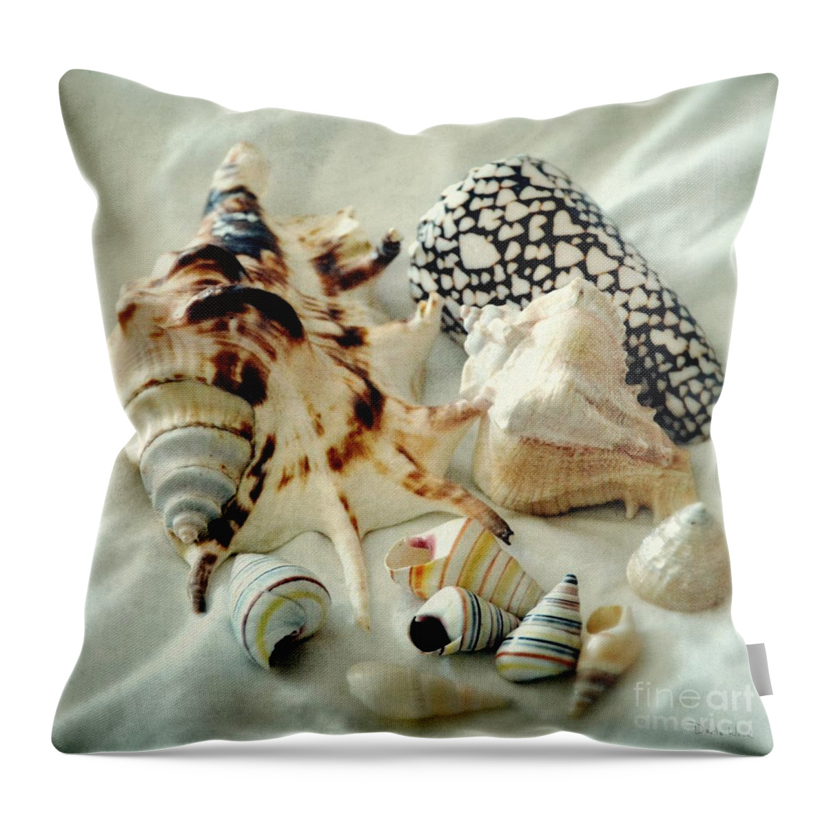 Sea Shells- Colorful Collection Throw Pillow featuring the photograph Sea Shells- colorful collection by Darla Wood