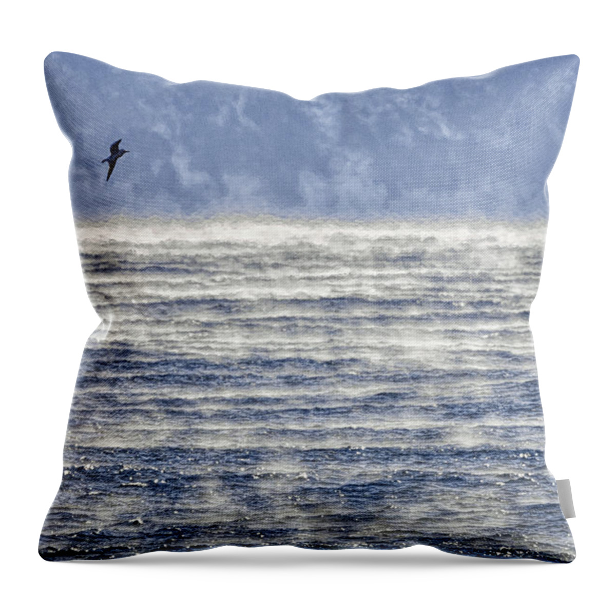 Sea Smoke And Gull Blues Throw Pillow featuring the photograph Sea Smoke and Gull Blues by Marty Saccone