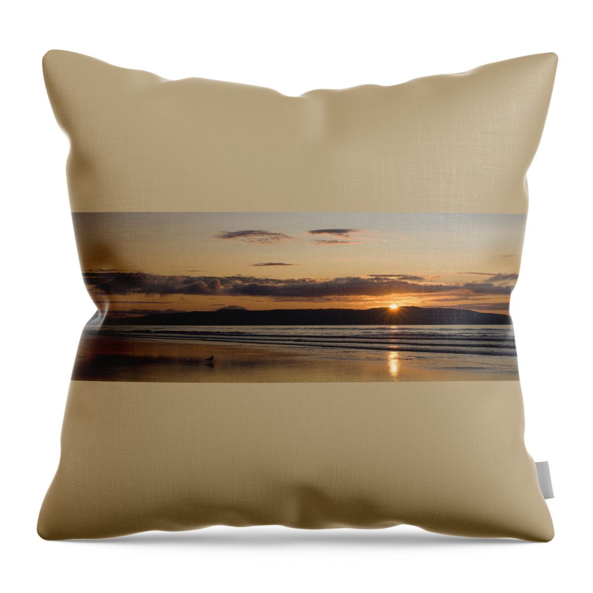 Seagull Throw Pillow featuring the photograph Seagull Sunset by Nigel R Bell