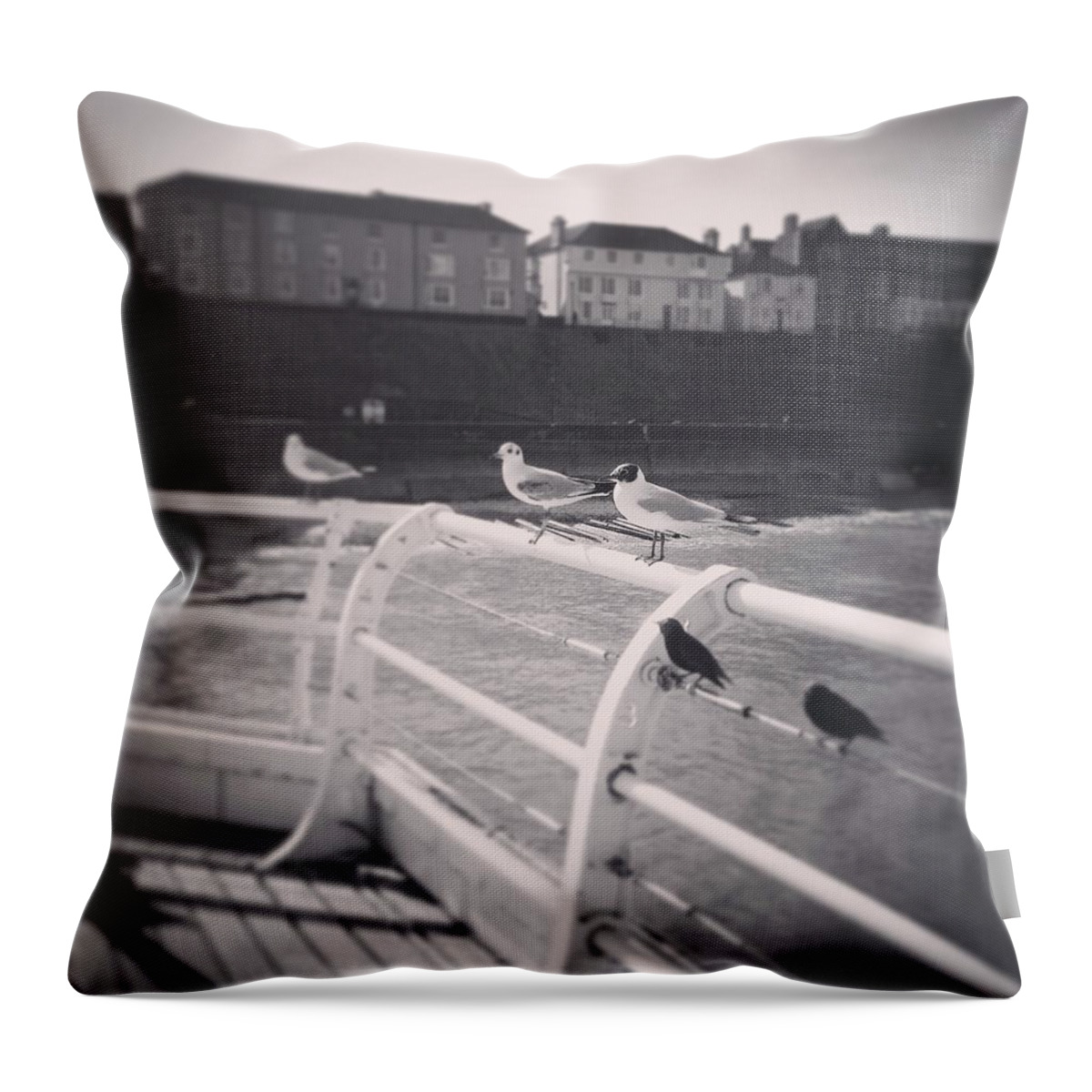 Seagulls Starlings Fish And Chips Cromer Norfolk Beach Pier Promenade Throw Pillow featuring the photograph Seagulls of the East Coast Cromer Norfolk England by Crystal Money