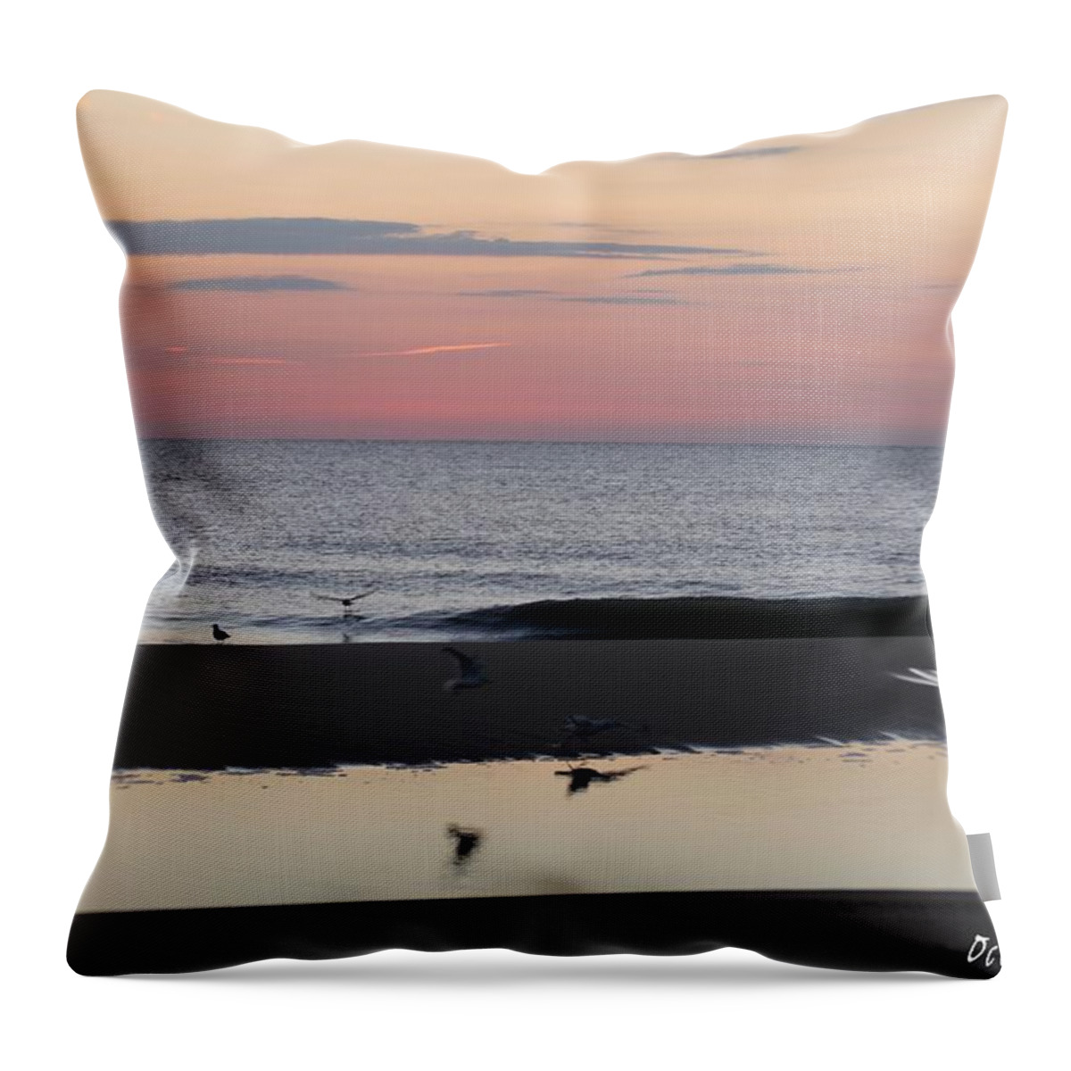 Animals Throw Pillow featuring the photograph Seagulls Sea and Sunrise by Robert Banach