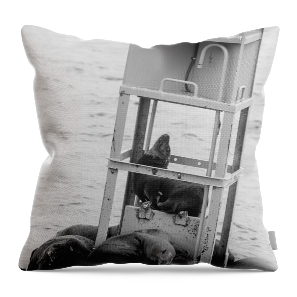 Seal Throw Pillow featuring the photograph Seal Hammock Black and White by Scott Campbell
