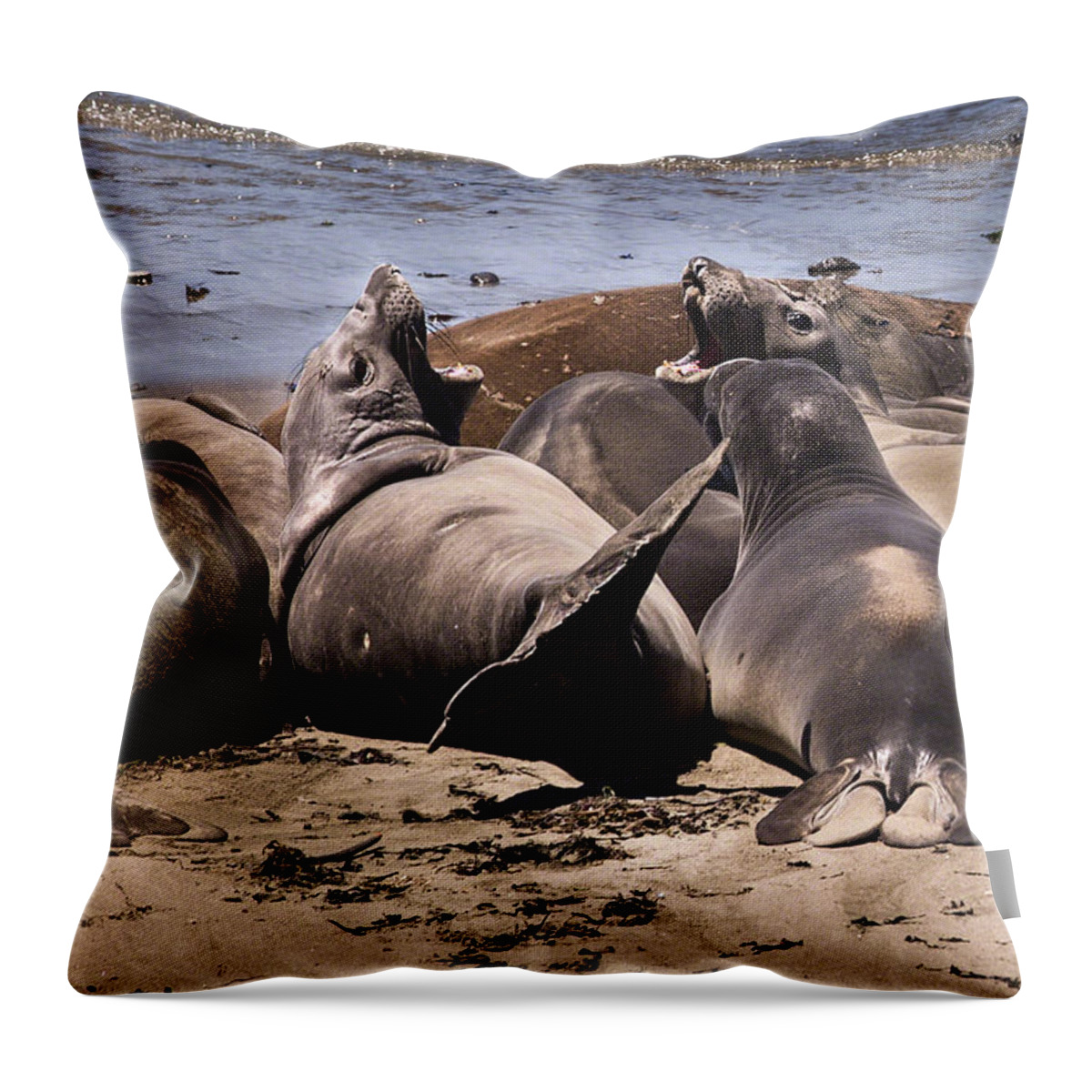 Art Throw Pillow featuring the photograph Seal Team 3 By Denise Dube by Denise Dube