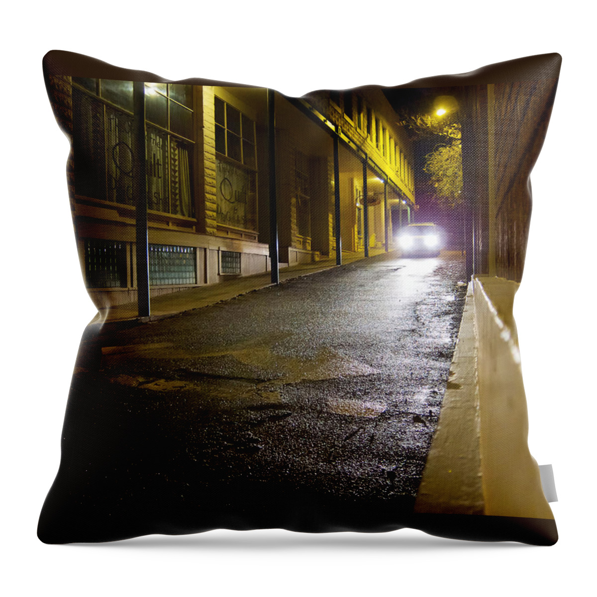 Alley Throw Pillow featuring the photograph Searching by Mary Lee Dereske