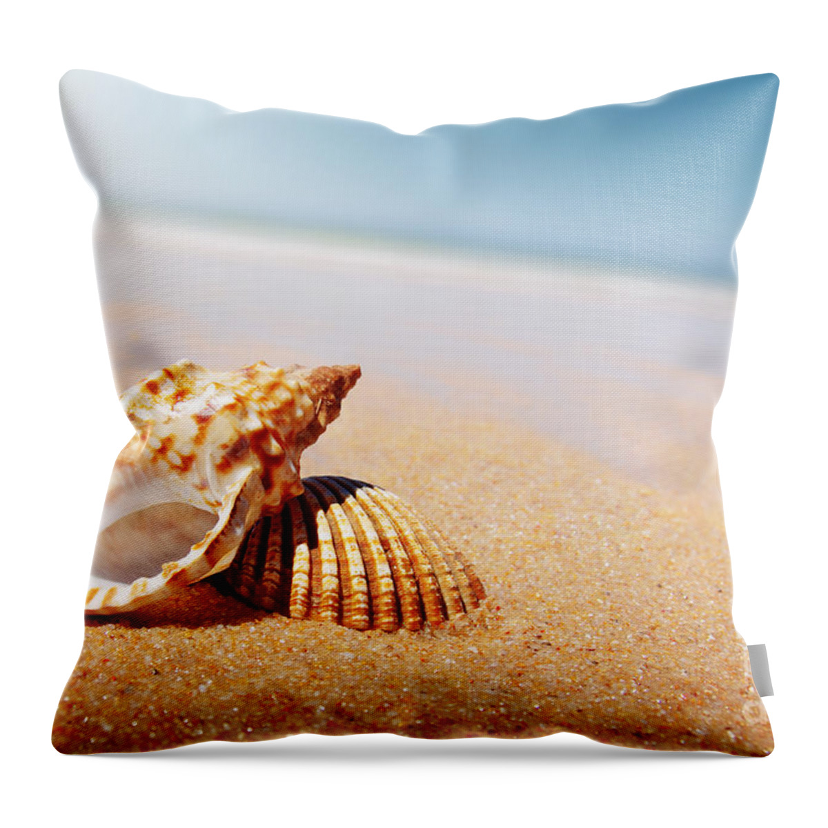 Abstract Throw Pillow featuring the photograph Seashell and Conch by Carlos Caetano