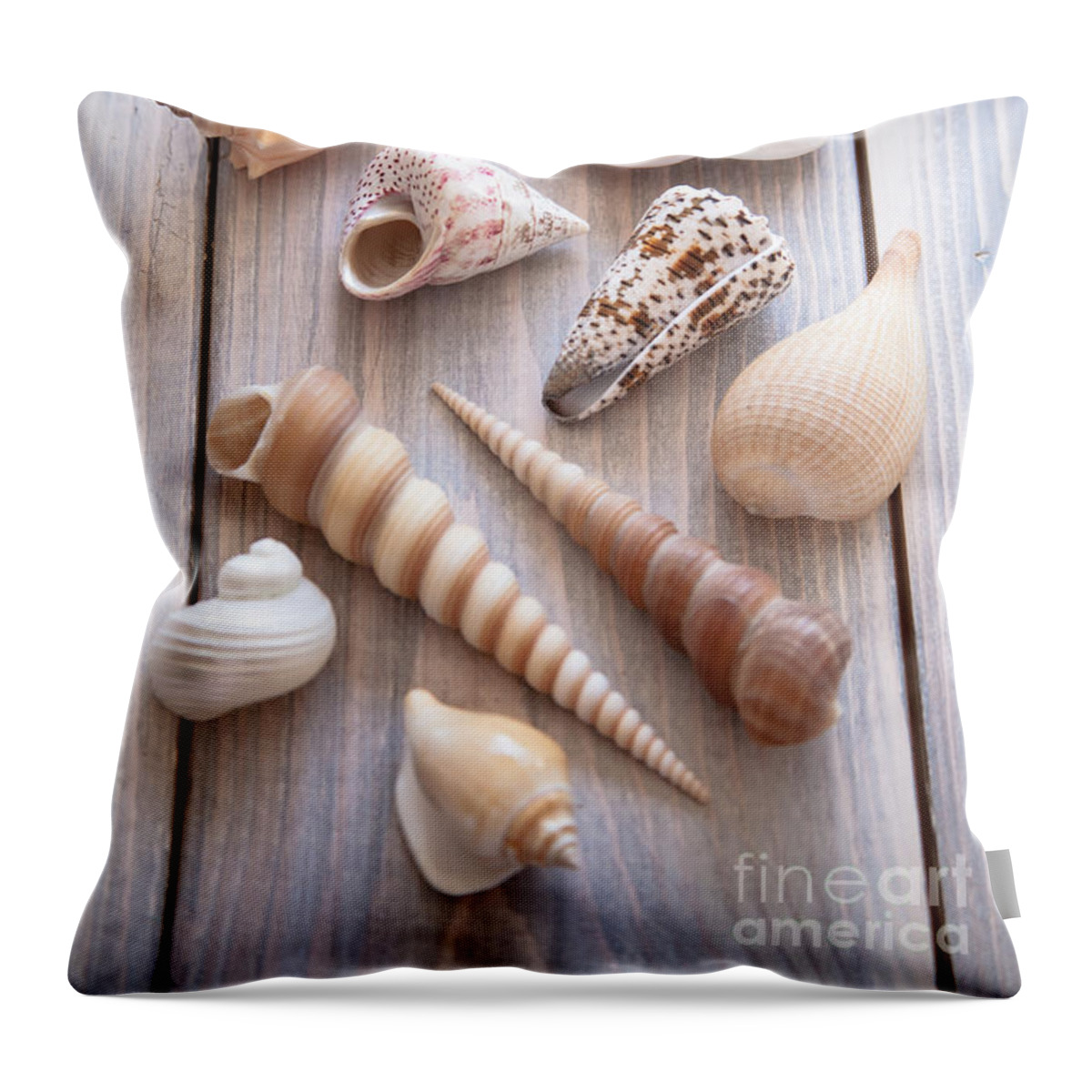 Seashell Throw Pillow featuring the photograph Seashell Collection by Jan Bickerton