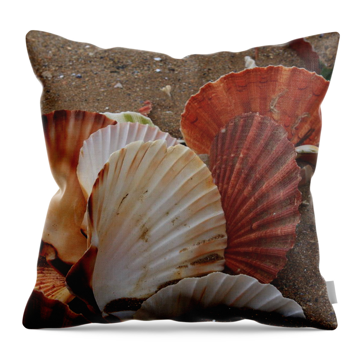 Shells Throw Pillow featuring the photograph Seashell Sail by Aidan Moran