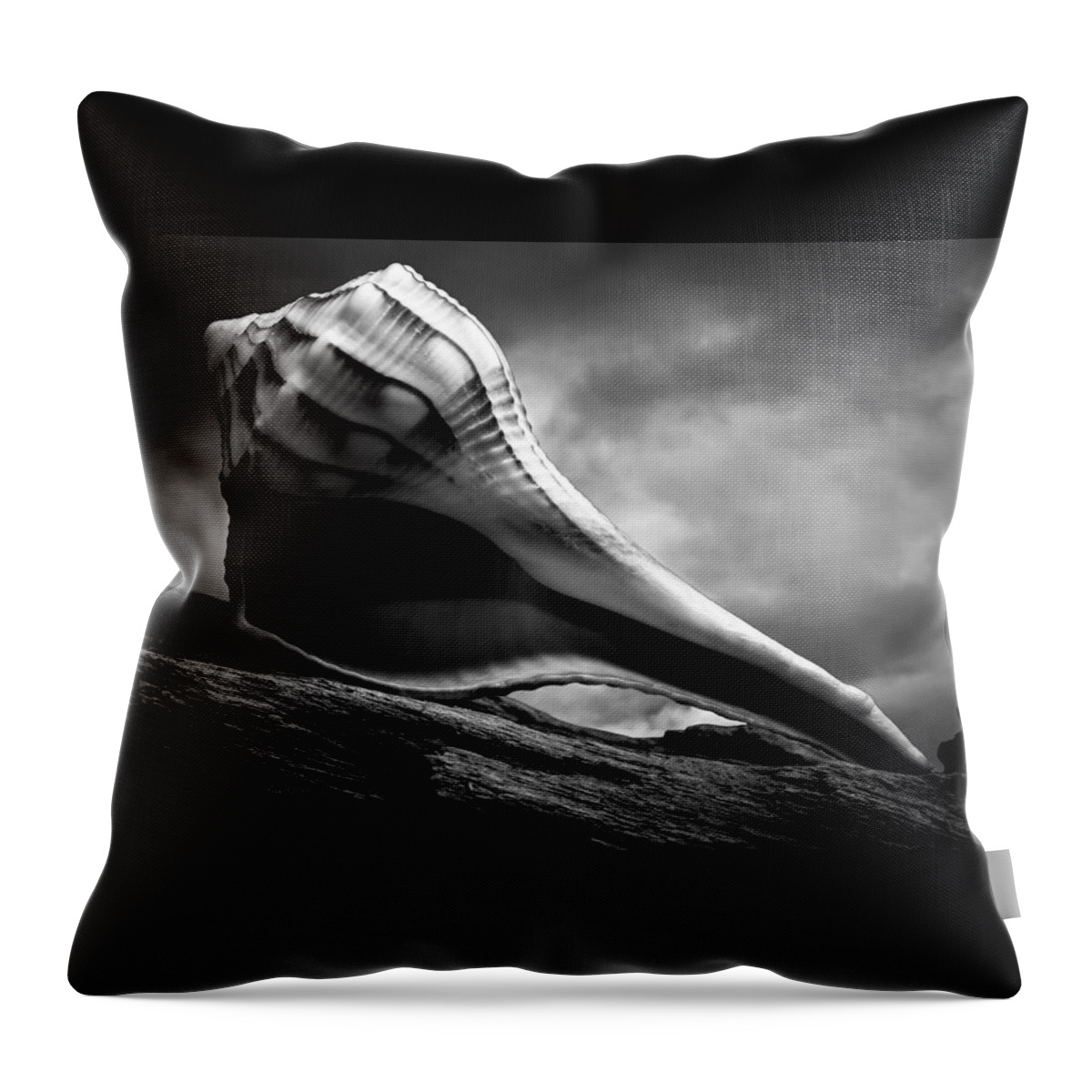 Shell Throw Pillow featuring the photograph Seashell Without The Sea 3 by Bob Orsillo