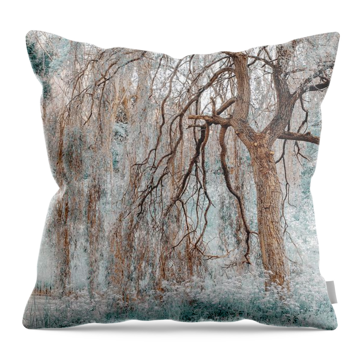 Nature Throw Pillow featuring the photograph Secret Life of the Willow Tree. Nature in Alien Skin by Jenny Rainbow