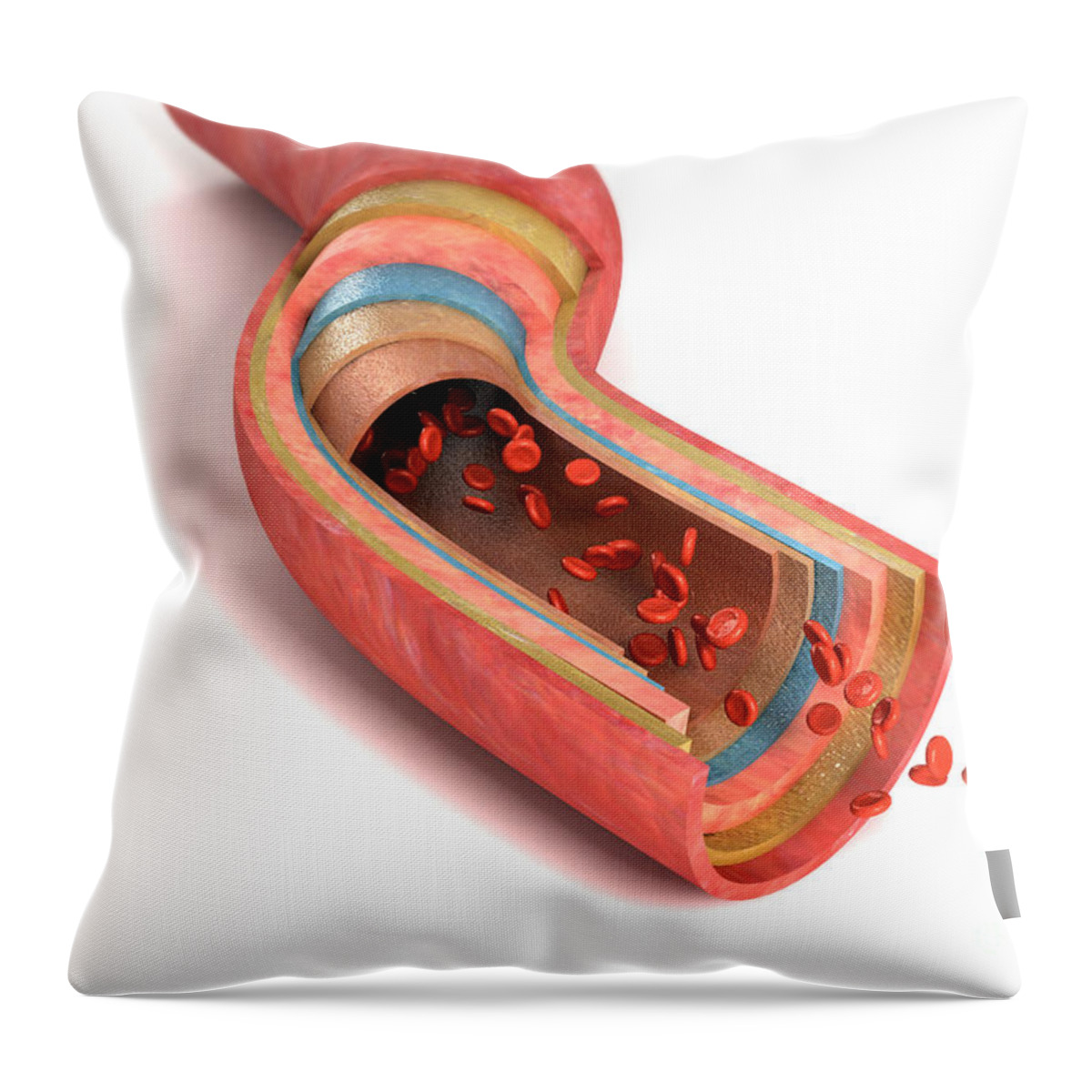 3d Visualisation Throw Pillow featuring the photograph Sectioned Blood Vessel by Science Picture Co