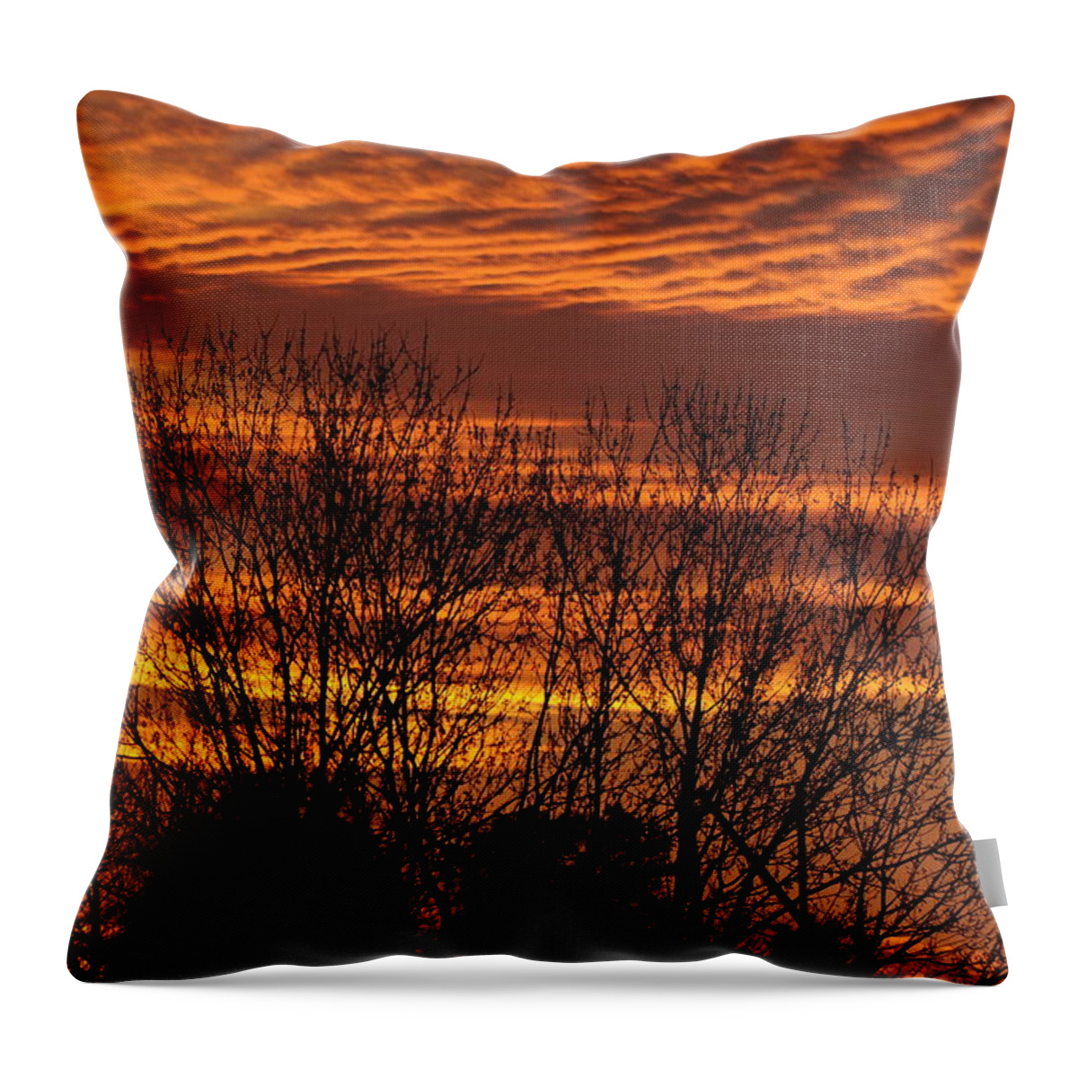 Landscape Throw Pillow featuring the photograph Sedative Sky by Jack Harries