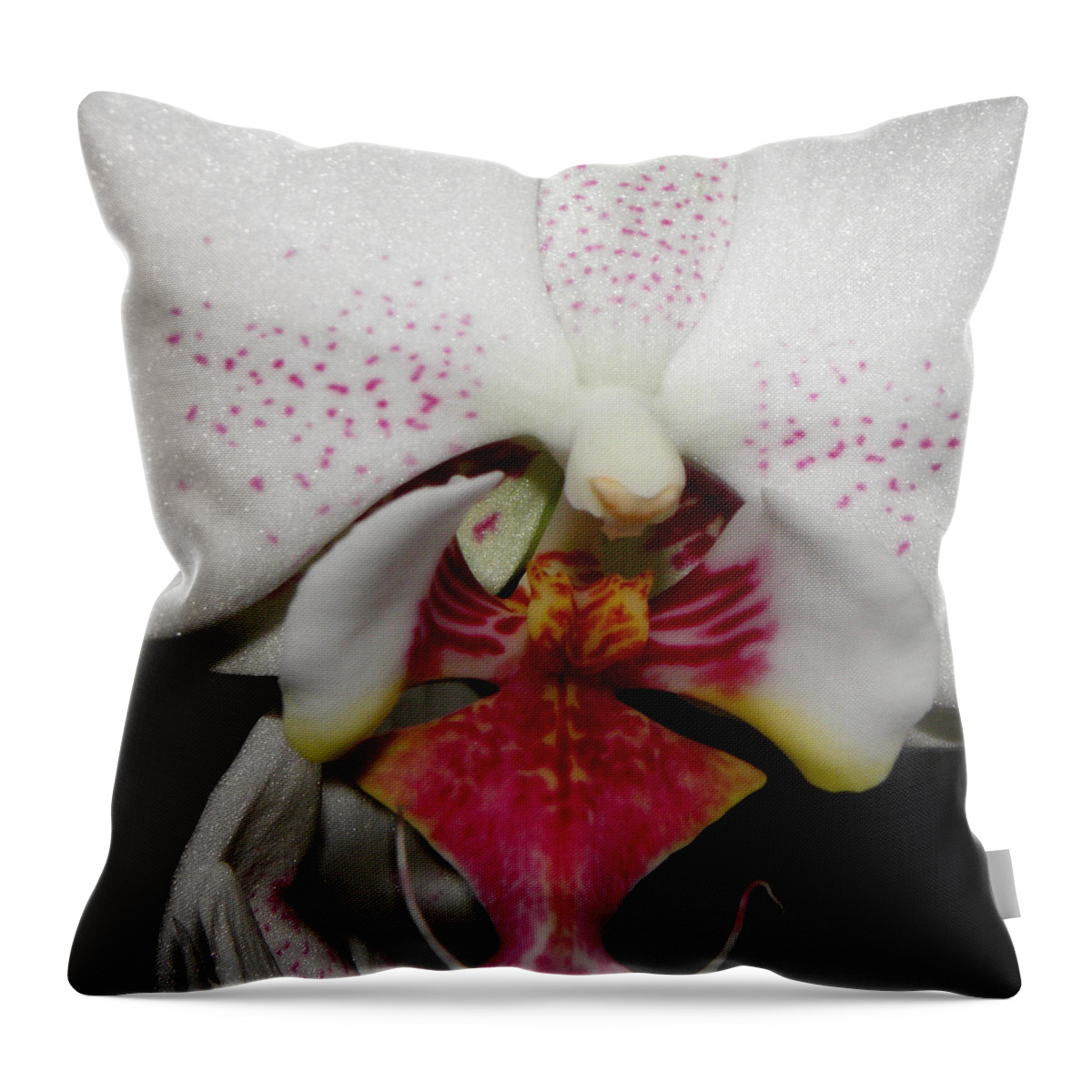 Flower Throw Pillow featuring the photograph See Me Shimmering by Kim Galluzzo