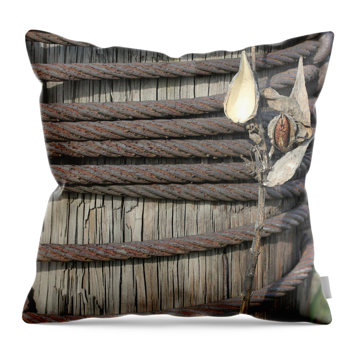 Seed Throw Pillow featuring the photograph Seed Pod Iron and Wood by Mary Bedy