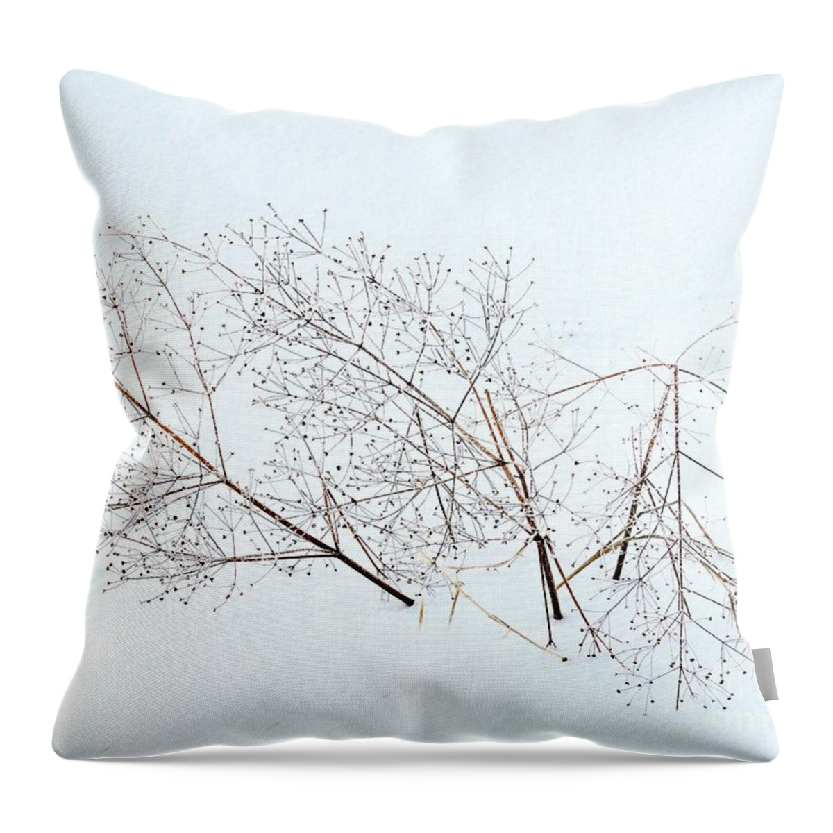 Nature Throw Pillow featuring the photograph Seeds On The Wind by Marcia Lee Jones