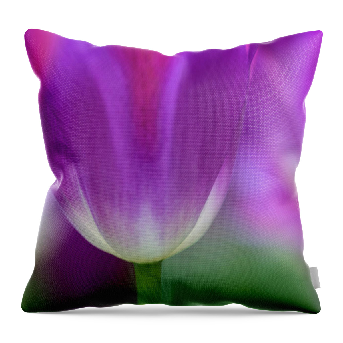 Purple Throw Pillow featuring the photograph Selective Focus On Tulip Kuekenhof by Darrell Gulin