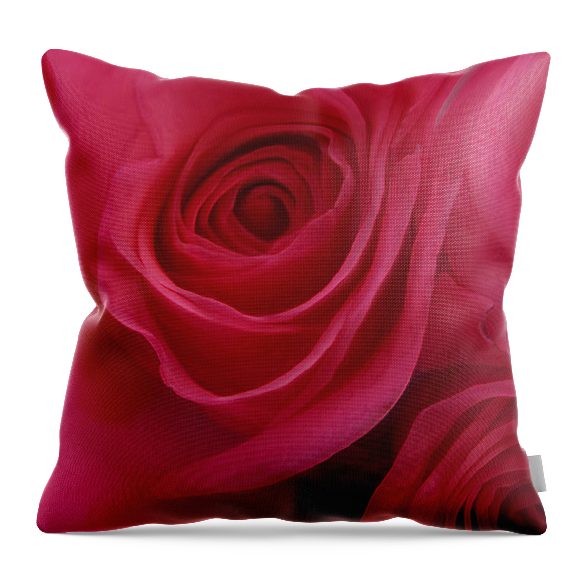 Sensual Rose Throw Pillow featuring the photograph Sensual Rose by Linda Sannuti