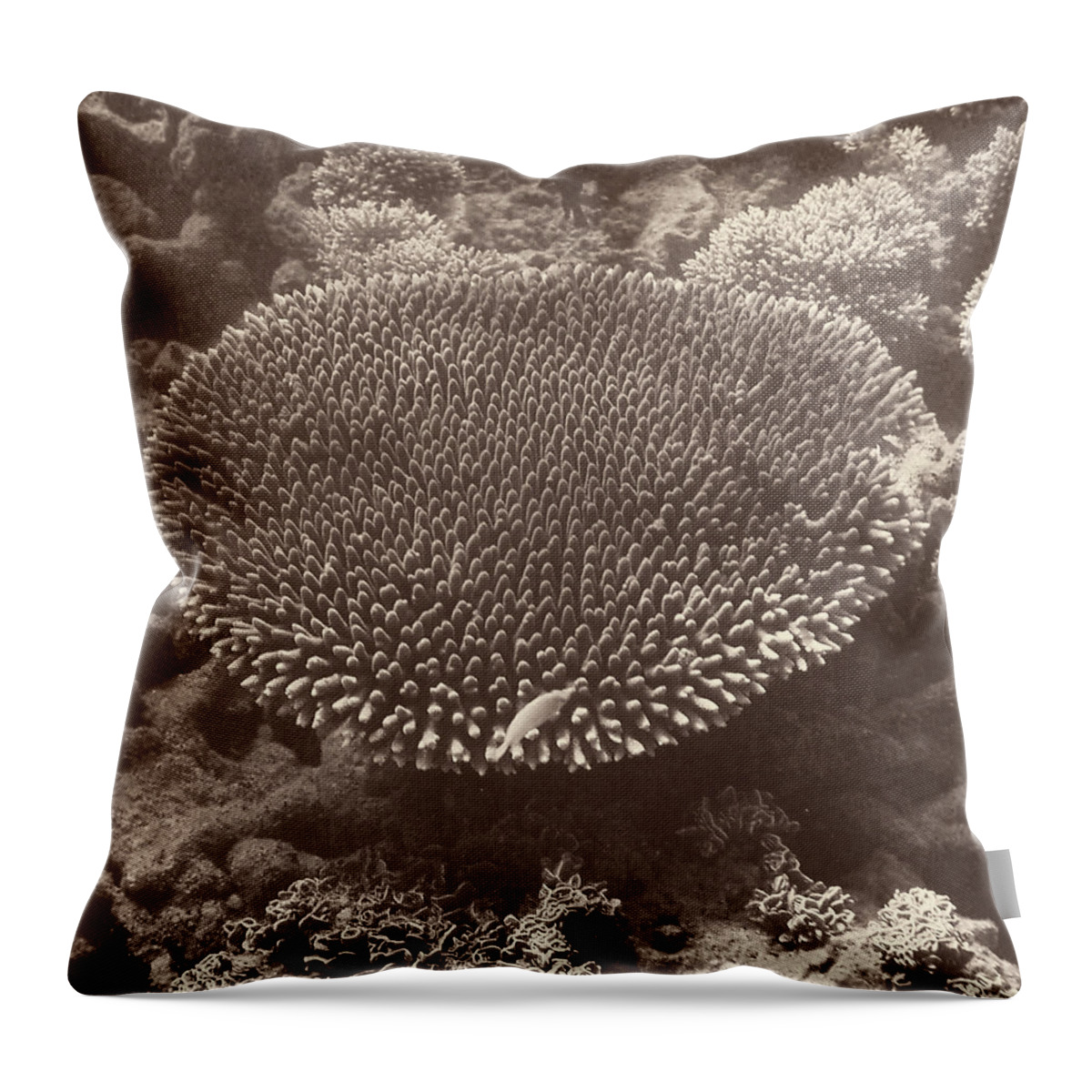 Barrier Throw Pillow featuring the digital art Sepia Barrier Reef Coral II by Kathy Mansfield