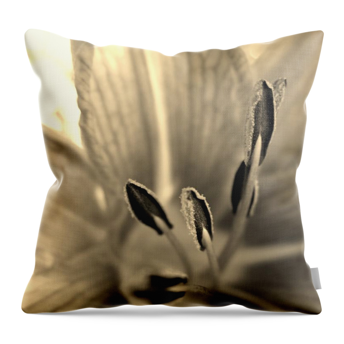 Lily Throw Pillow featuring the photograph Sepia Macro Daylily by Cynthia Clark