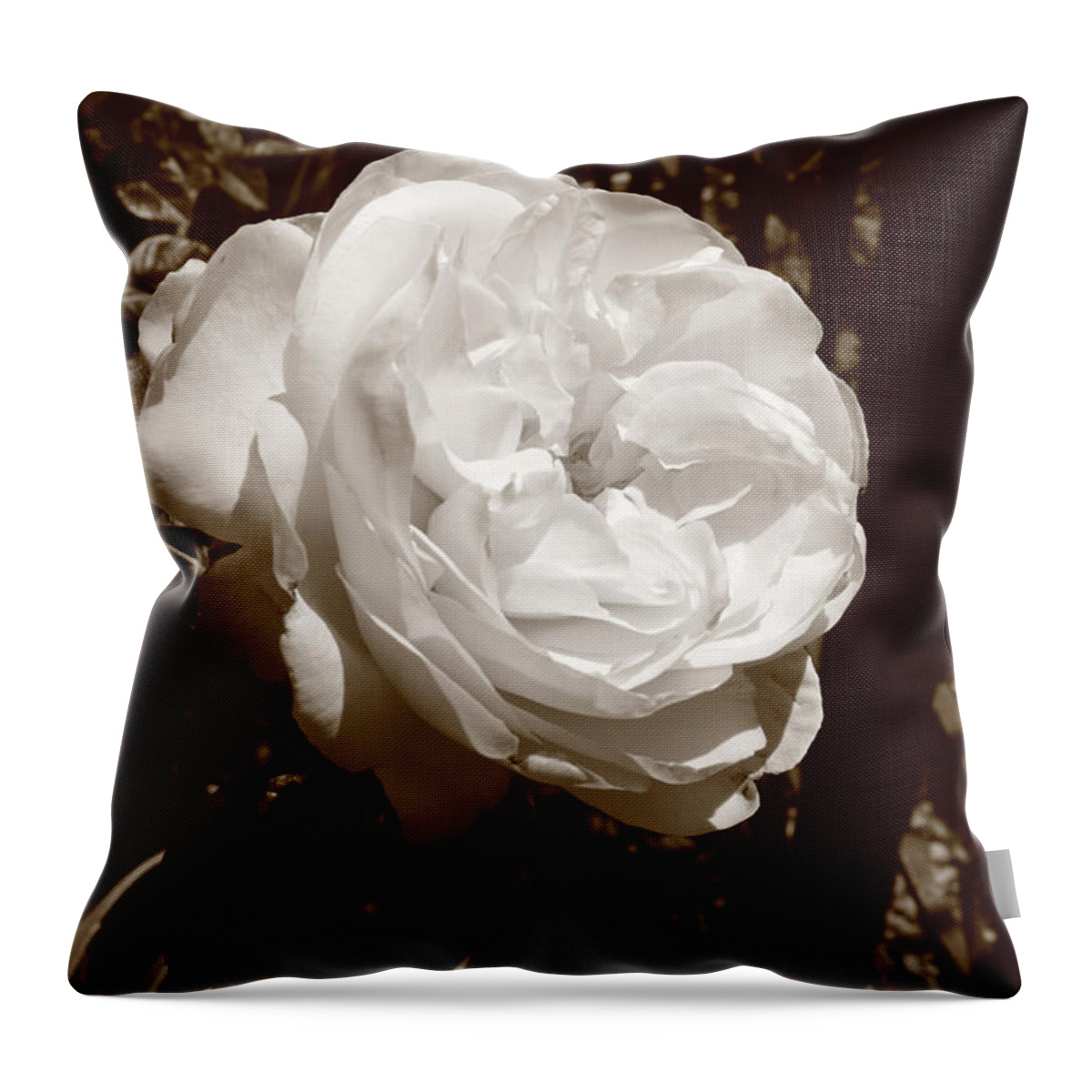  Rose Throw Pillow featuring the photograph Sepia Rose by Aidan Moran