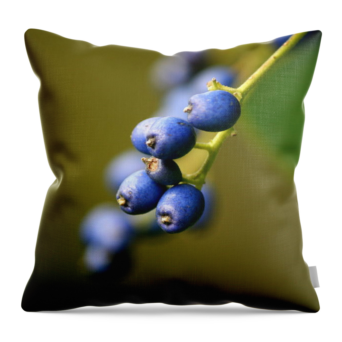 Berry Throw Pillow featuring the photograph September Blues by Neal Eslinger