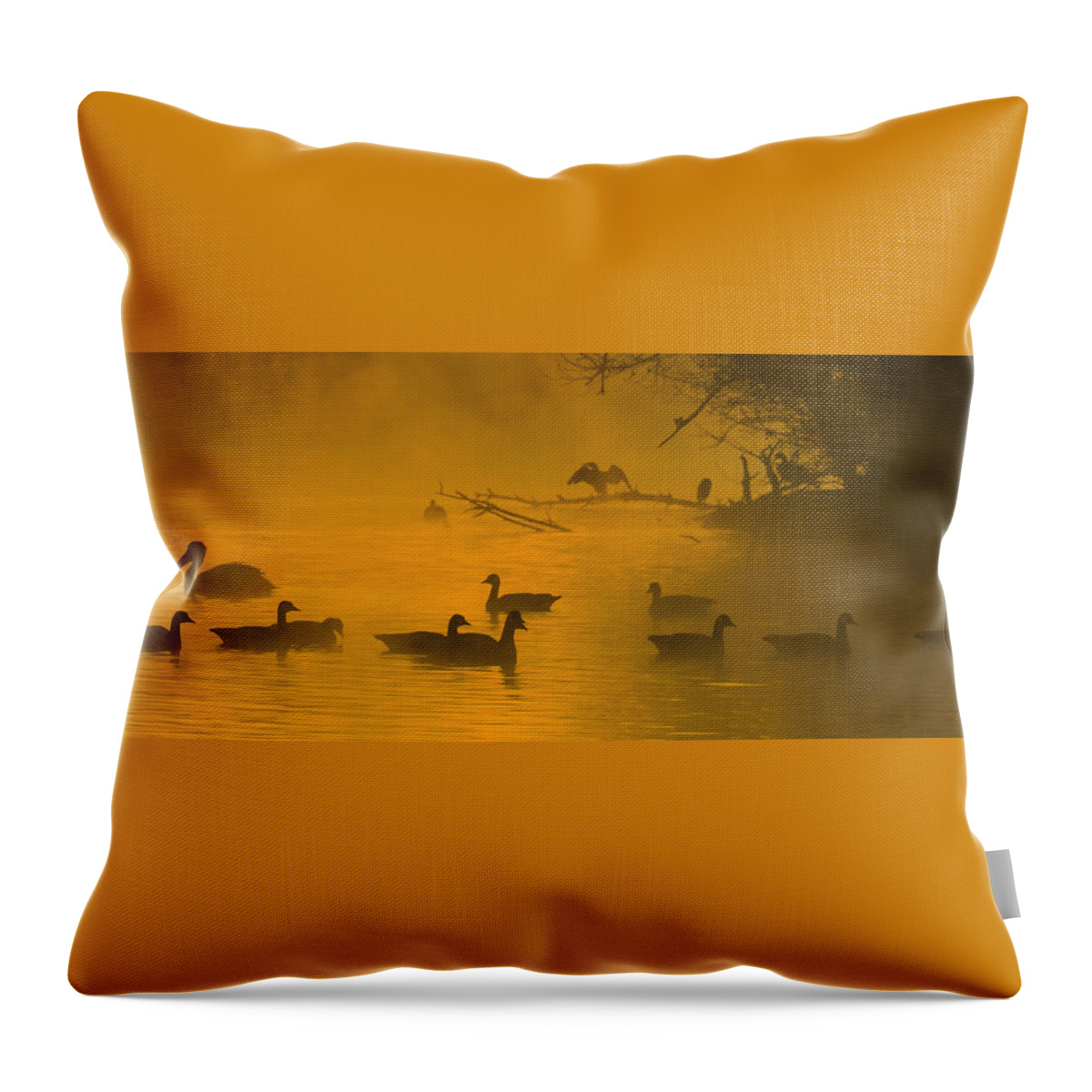 Los Angeles Throw Pillow featuring the photograph Sepulveda Dam Morning by Joe Doherty