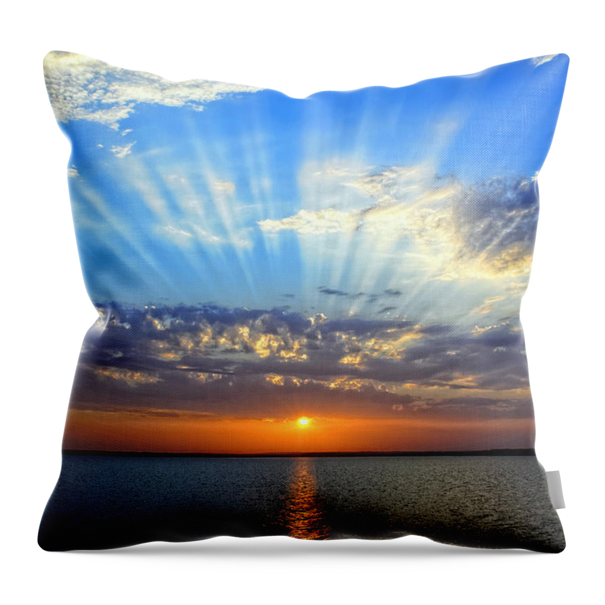 Texas Throw Pillow featuring the photograph Serendipity by Erich Grant