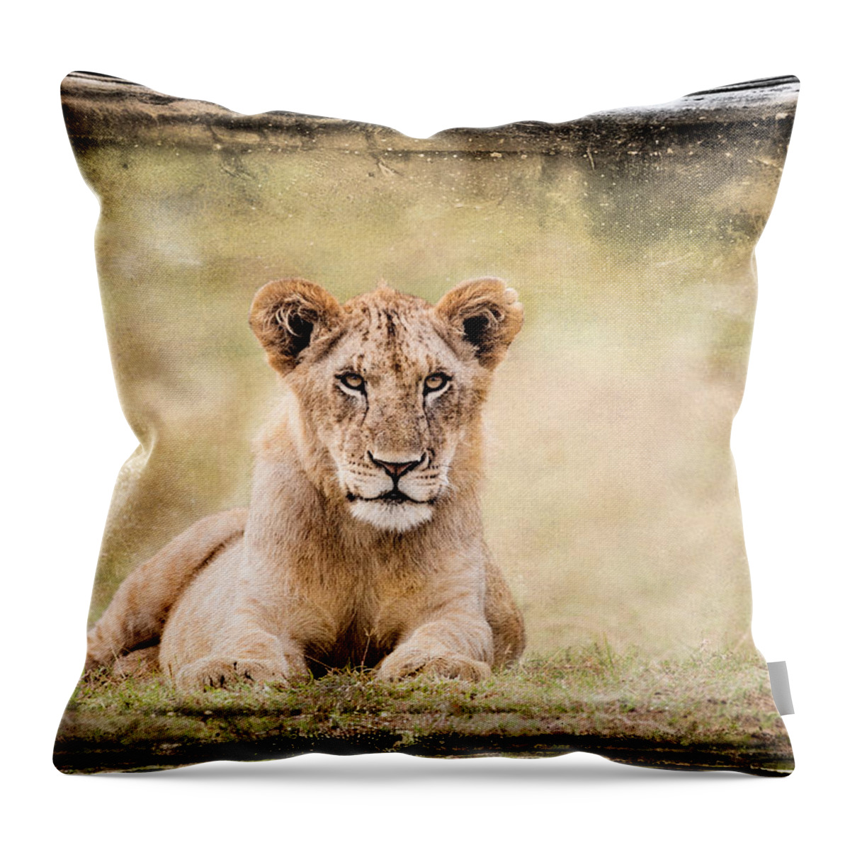 Africa Throw Pillow featuring the photograph Serene Lioness by Mike Gaudaur