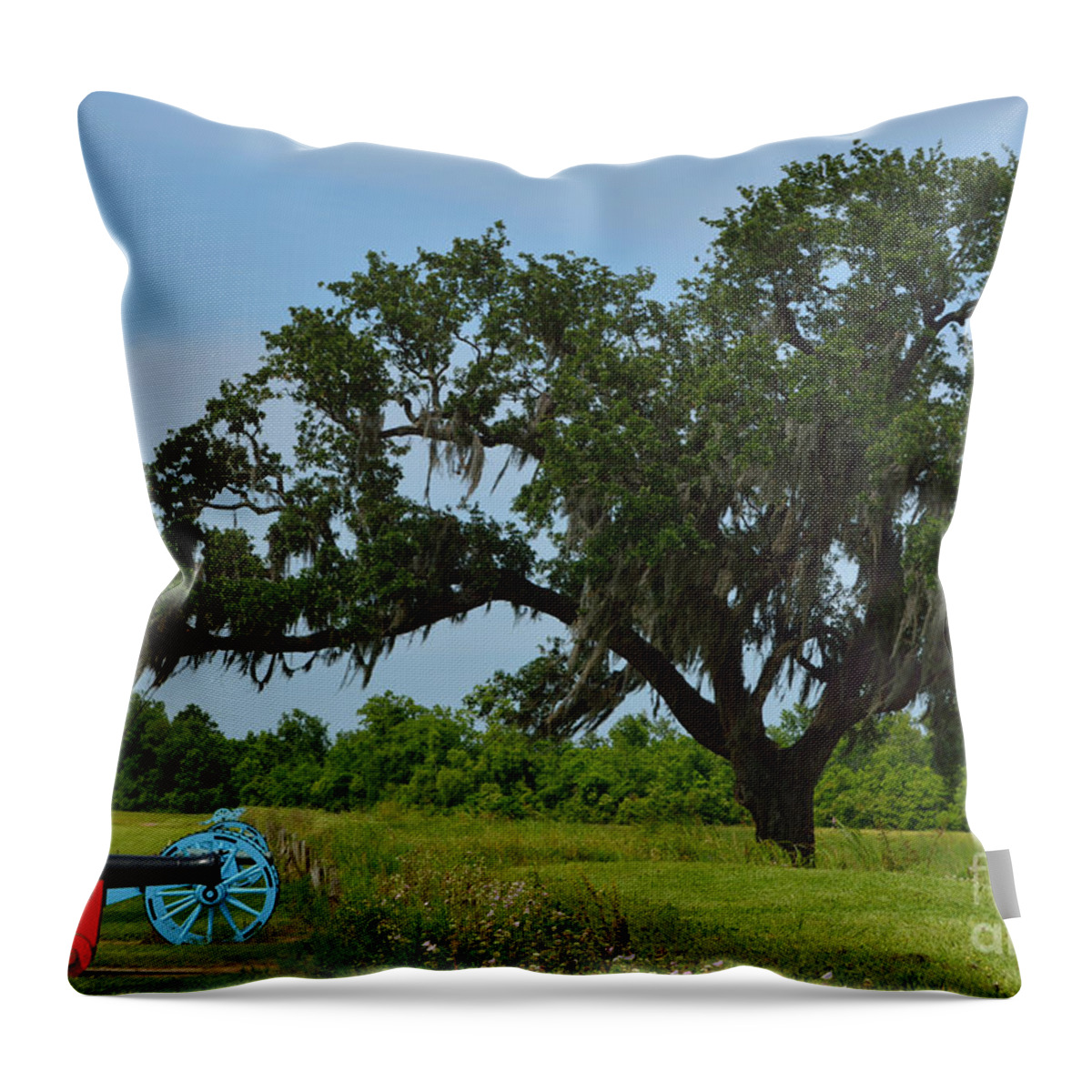 Battle Of New Orleans Throw Pillow featuring the photograph Serenity by Alys Caviness-Gober