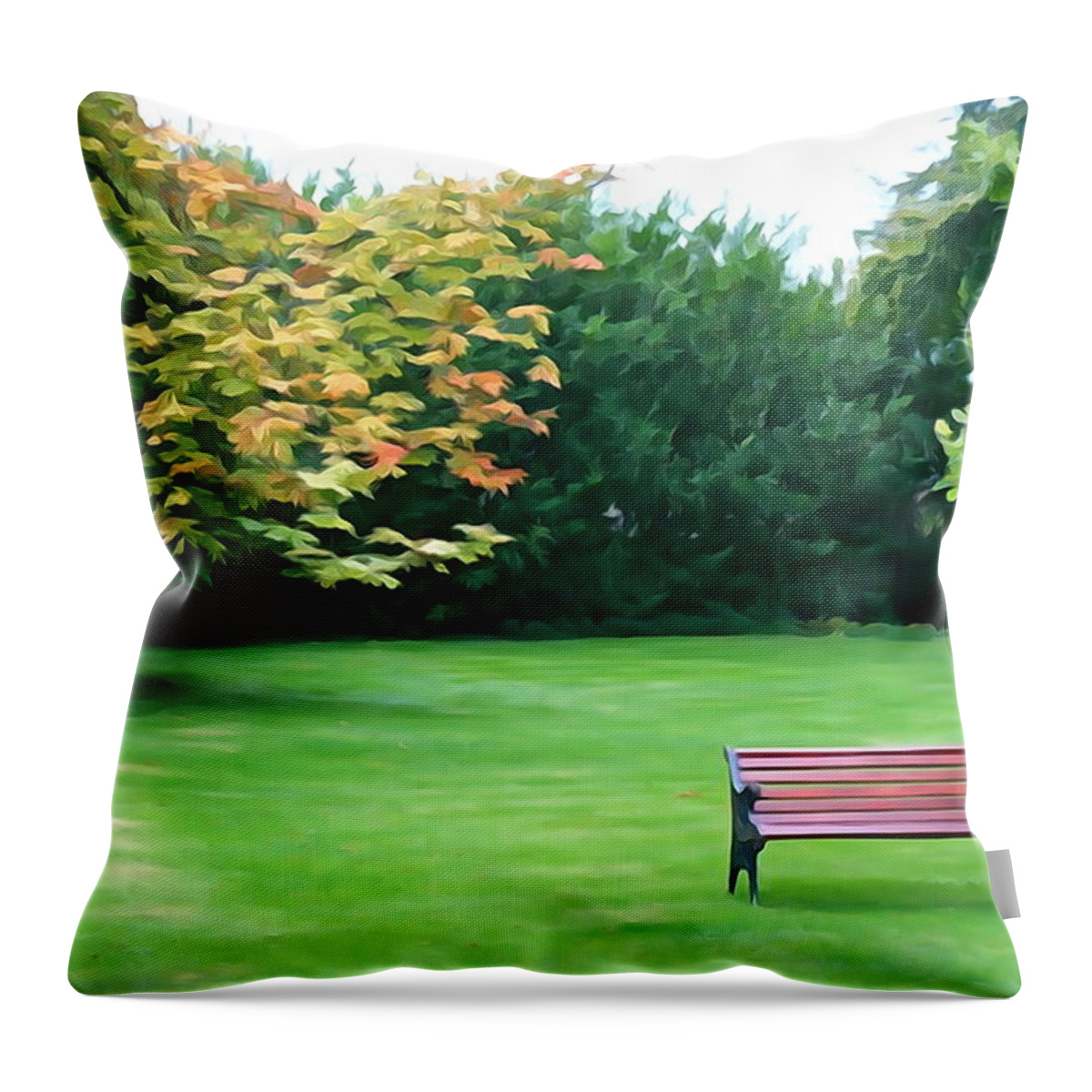 Bench Throw Pillow featuring the photograph Serenity by Norma Brock