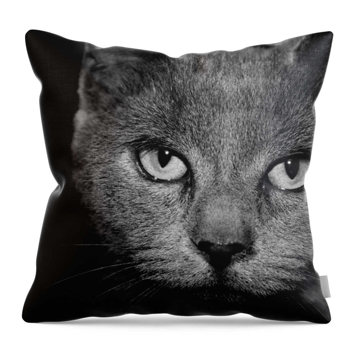 Cat Russian Blue Eyes Emotion Stare Black Whiskers Throw Pillow featuring the photograph Seriously by Cathy Harper