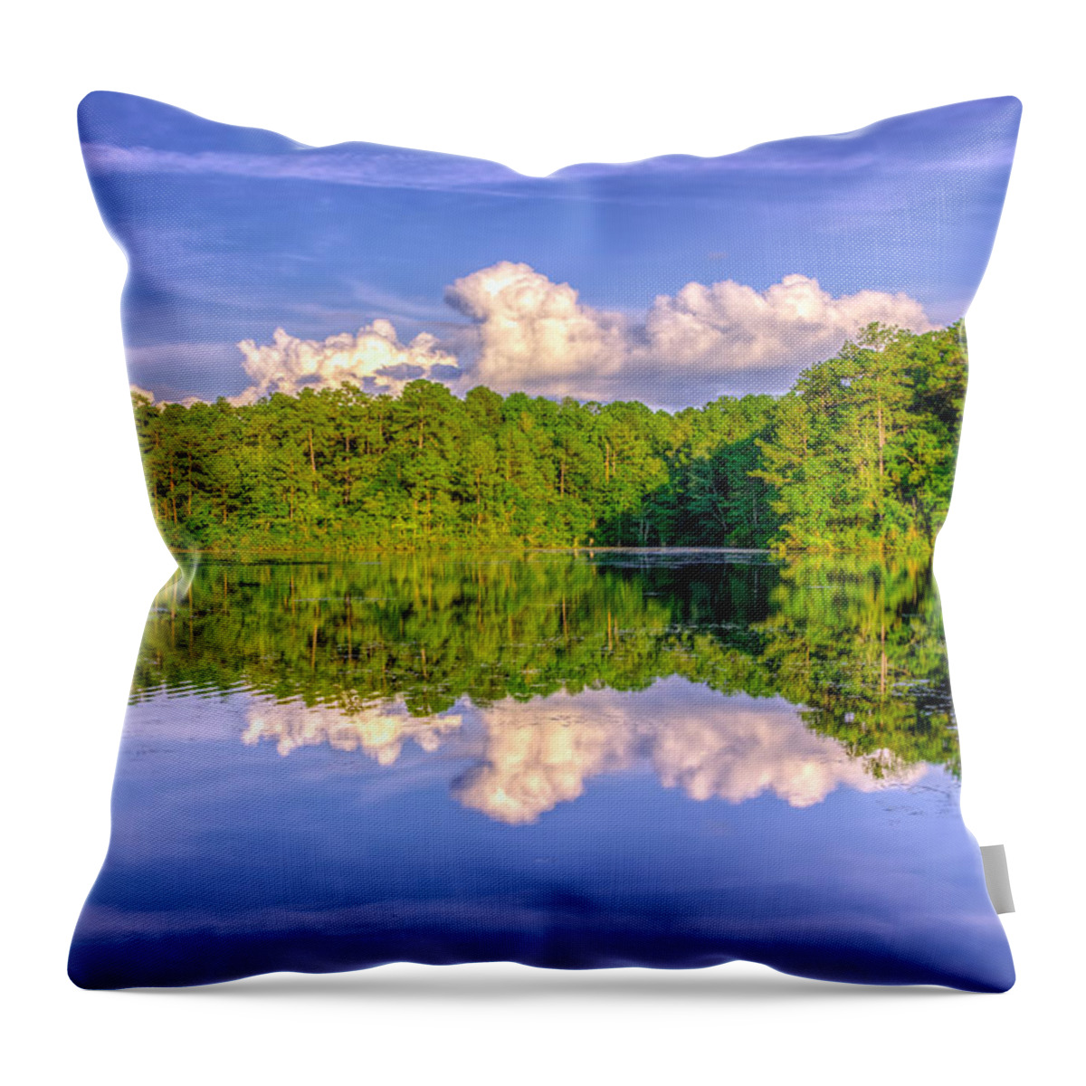 Adorable Throw Pillow featuring the photograph Sesqui Lake by Traveler's Pics