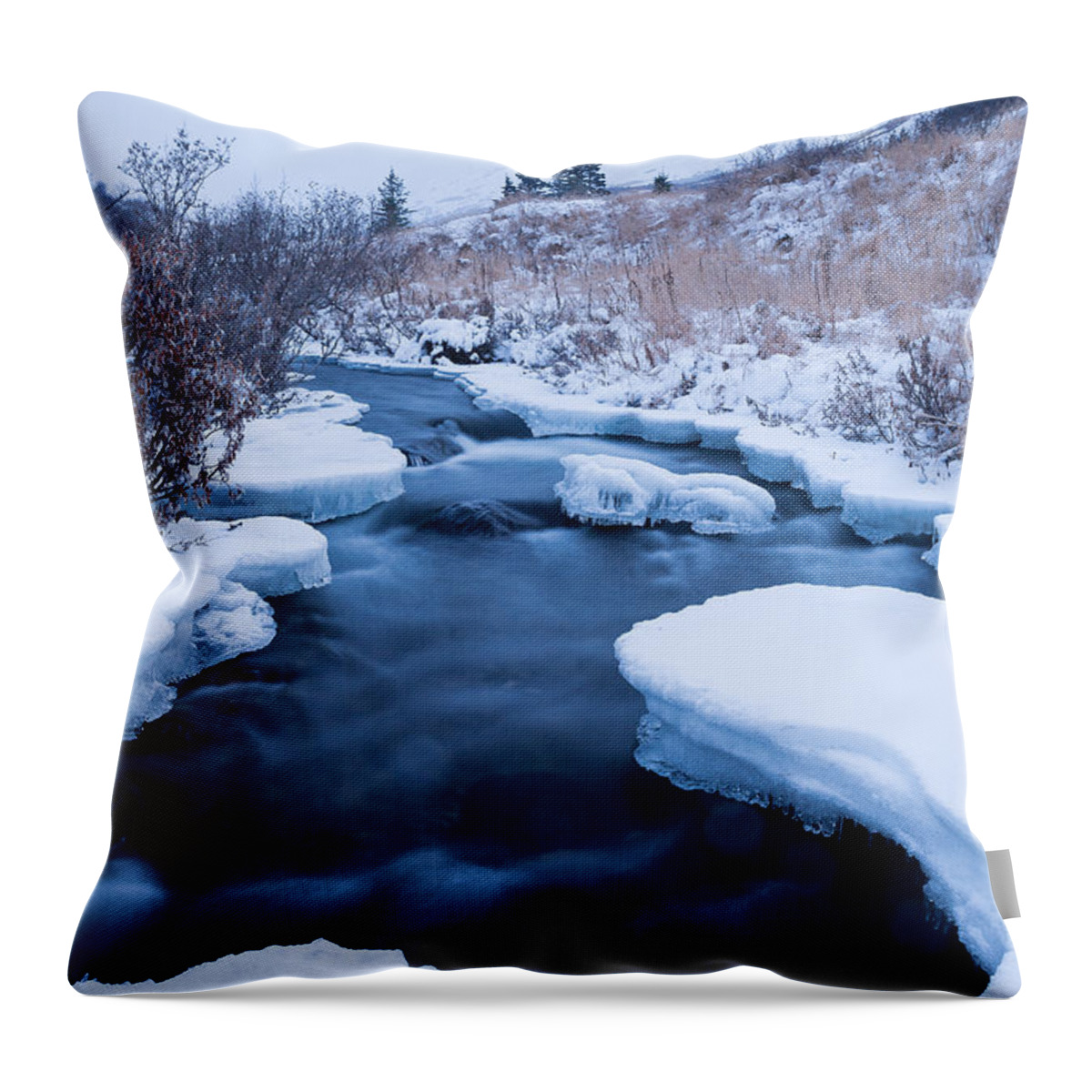 Alaska Throw Pillow featuring the photograph Settling Into Winter by Tim Newton