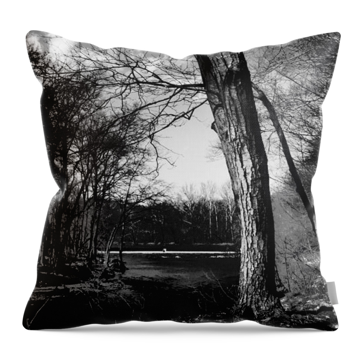 Ansel Throw Pillow featuring the photograph Shaded by Art Dingo