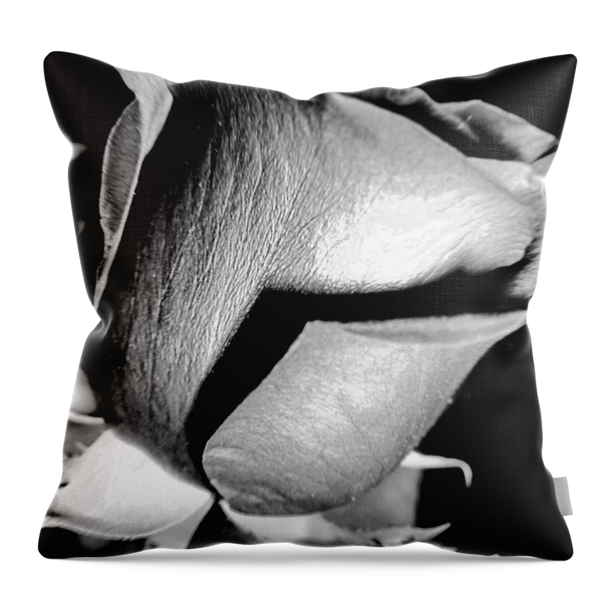 Shade Throw Pillow featuring the photograph Shades Of Rose by Nina Ficur Feenan