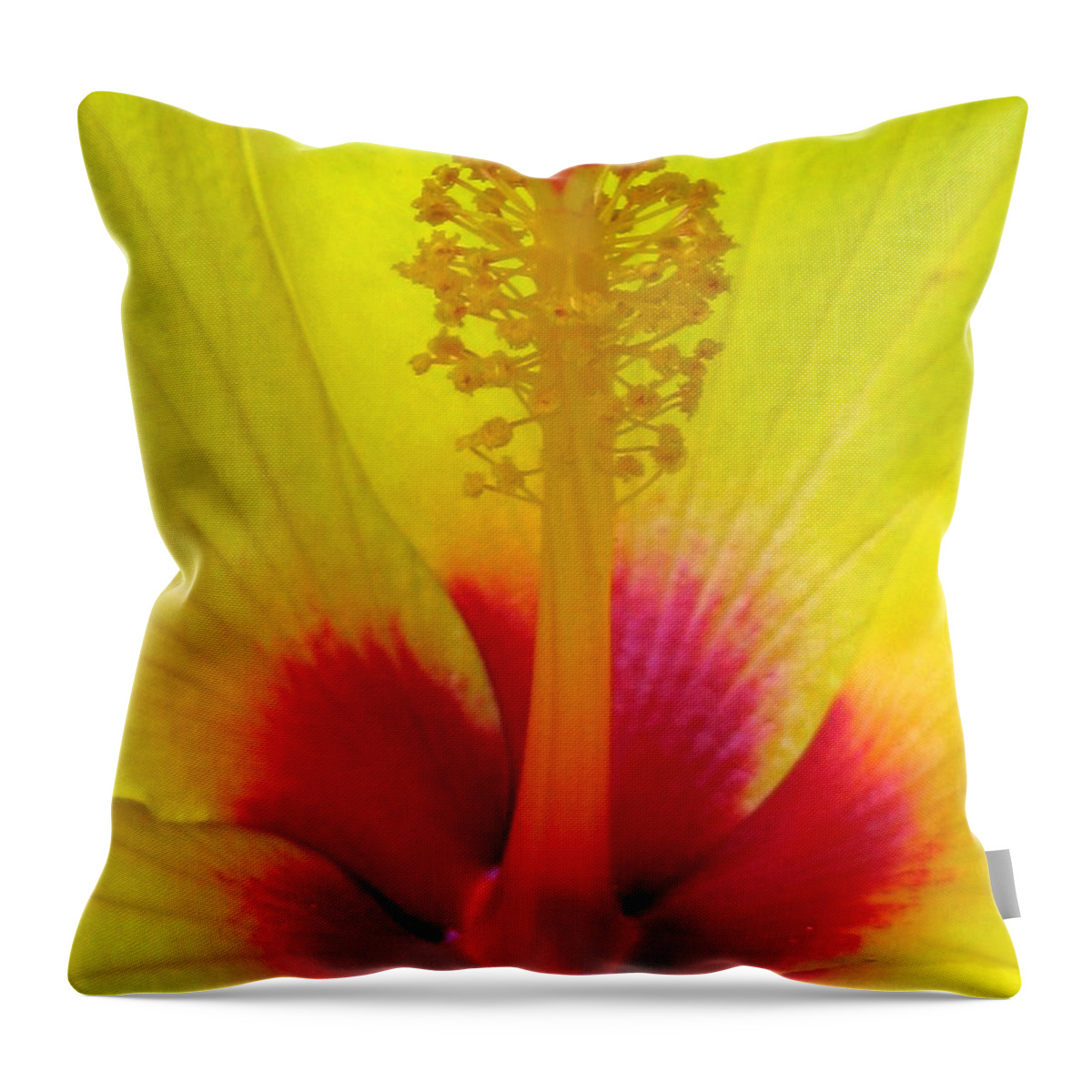 Hibiscus Throw Pillow featuring the photograph Shades of Summer 09 by Pamela Critchlow