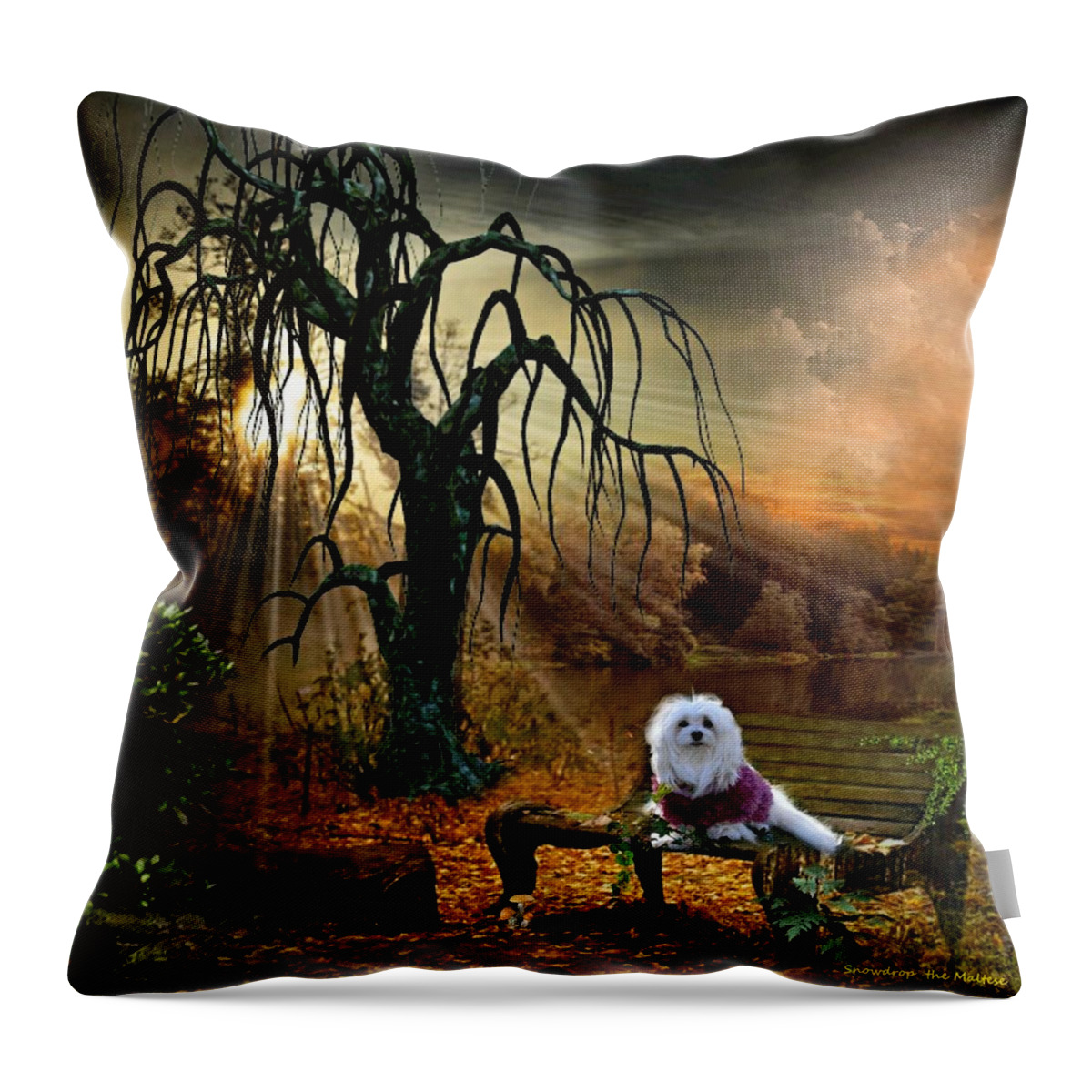 snowdrop The Maltese Throw Pillow featuring the photograph Shades of the Fall by Morag Bates